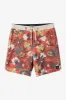 HYPERFREAK MYSTO SCALLOP 19" BOARDSHORTS sold by O'Neill