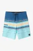 HYPERFREAK HEAT STRIPE 21" BOARDSHORTS sold by O'Neill