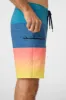 HYPERFREAK HEAT BLOCK 19" BOARDSHORTS sold by O'Neill