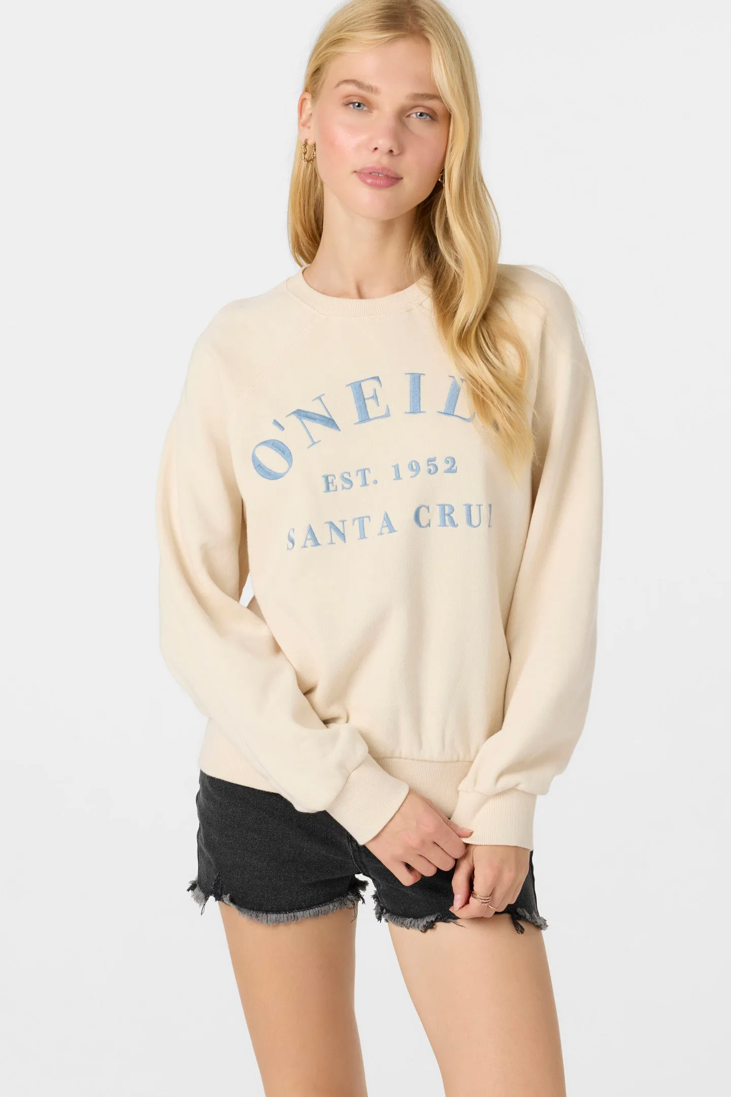 Boardwalk Crewneck Fleece sold by O'Neill product image thumbnail 4