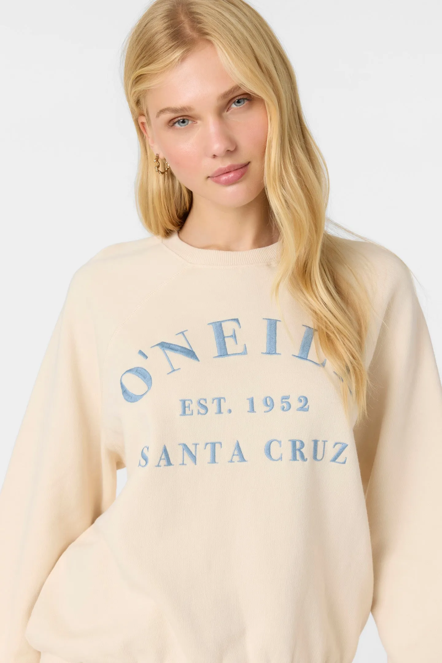 Boardwalk Crewneck Fleece sold by O'Neill product image thumbnail 5