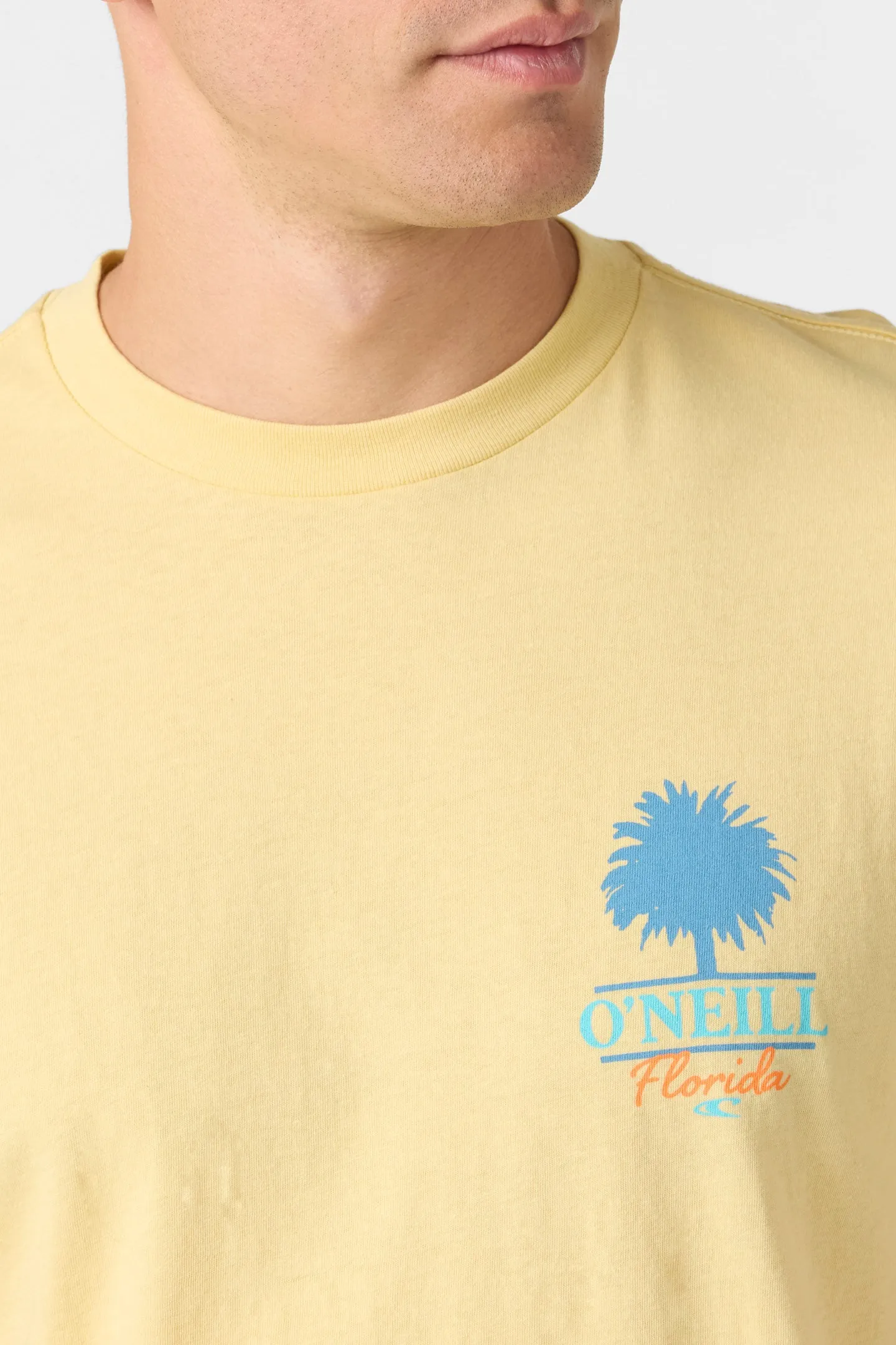 TUBBS TEE sold by O'Neill product image thumbnail 4