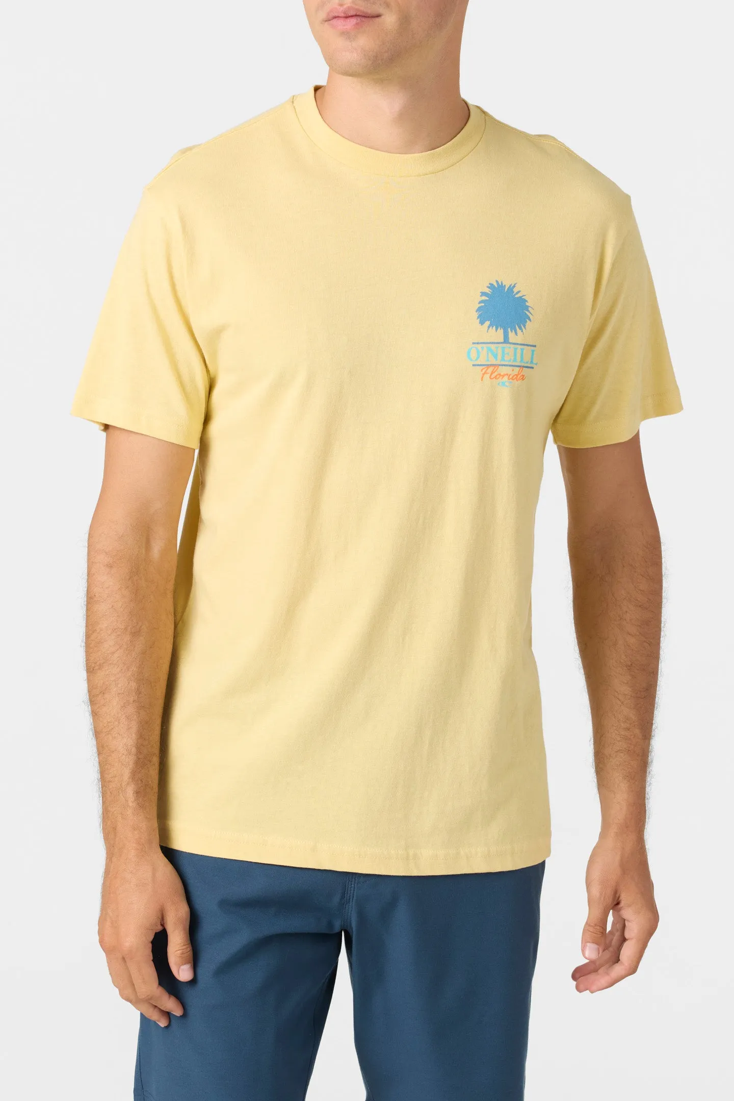 TUBBS TEE sold by O'Neill product image thumbnail 2