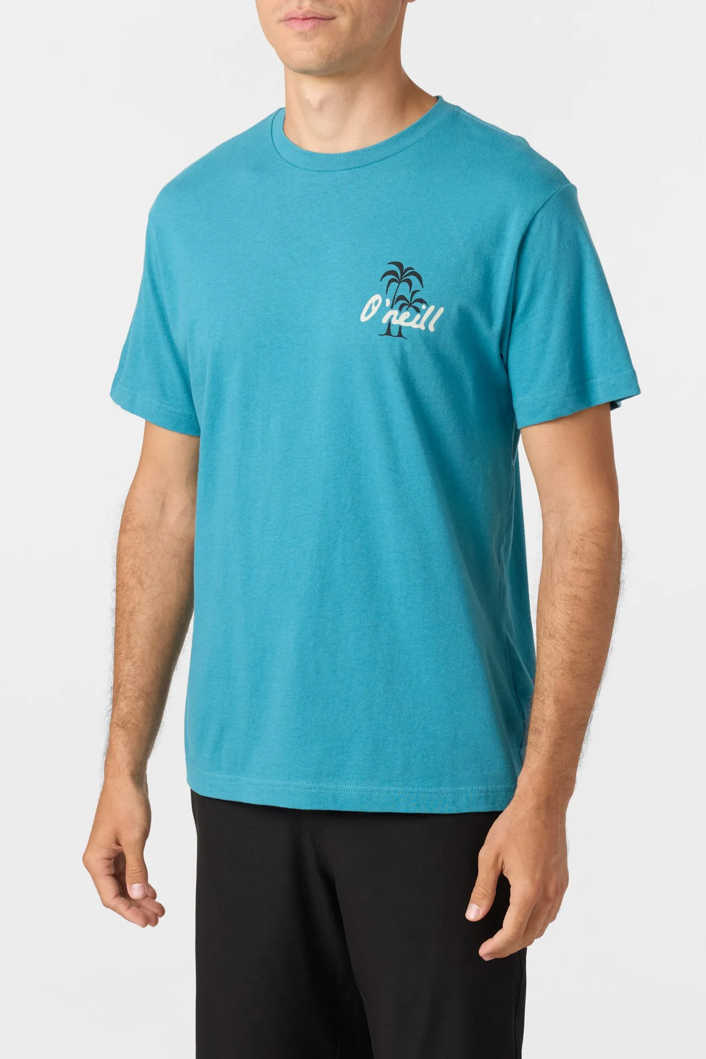 CRUMBLE TEE sold by O'Neill product image thumbnail 3
