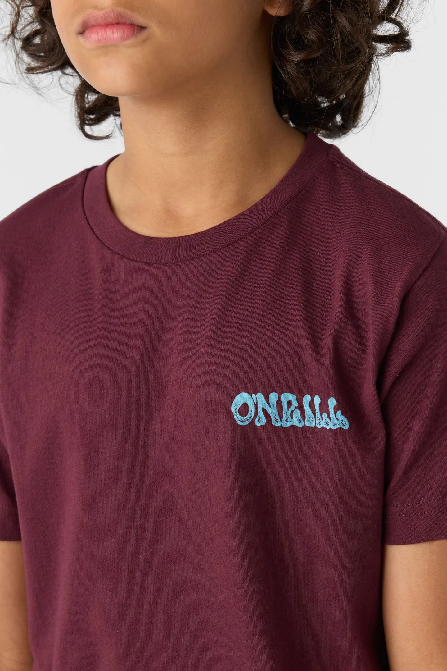 BOY'S NEW DREAMS TEE sold by O'Neill product image thumbnail 4