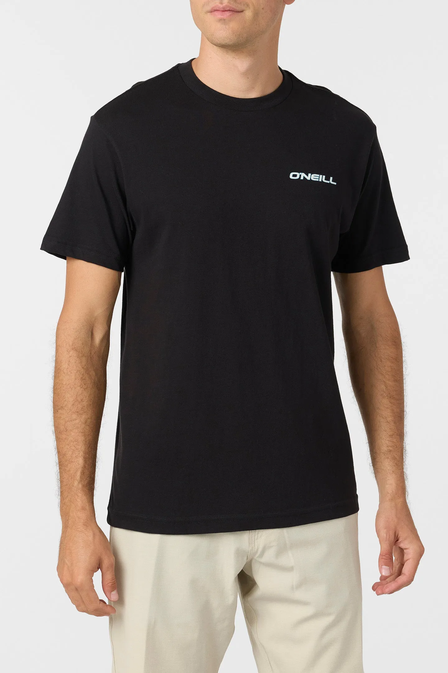 BLENDED STANDARD FIT TEE sold by O'Neill product image thumbnail 2