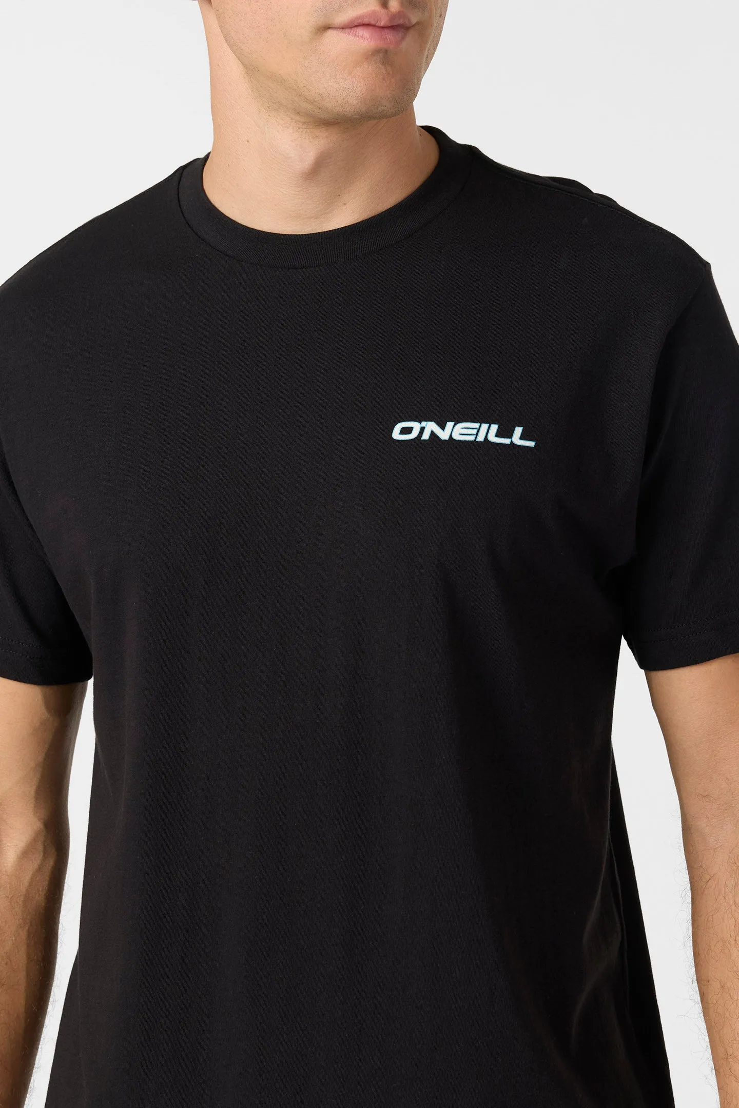 BLENDED STANDARD FIT TEE sold by O'Neill product image thumbnail 5