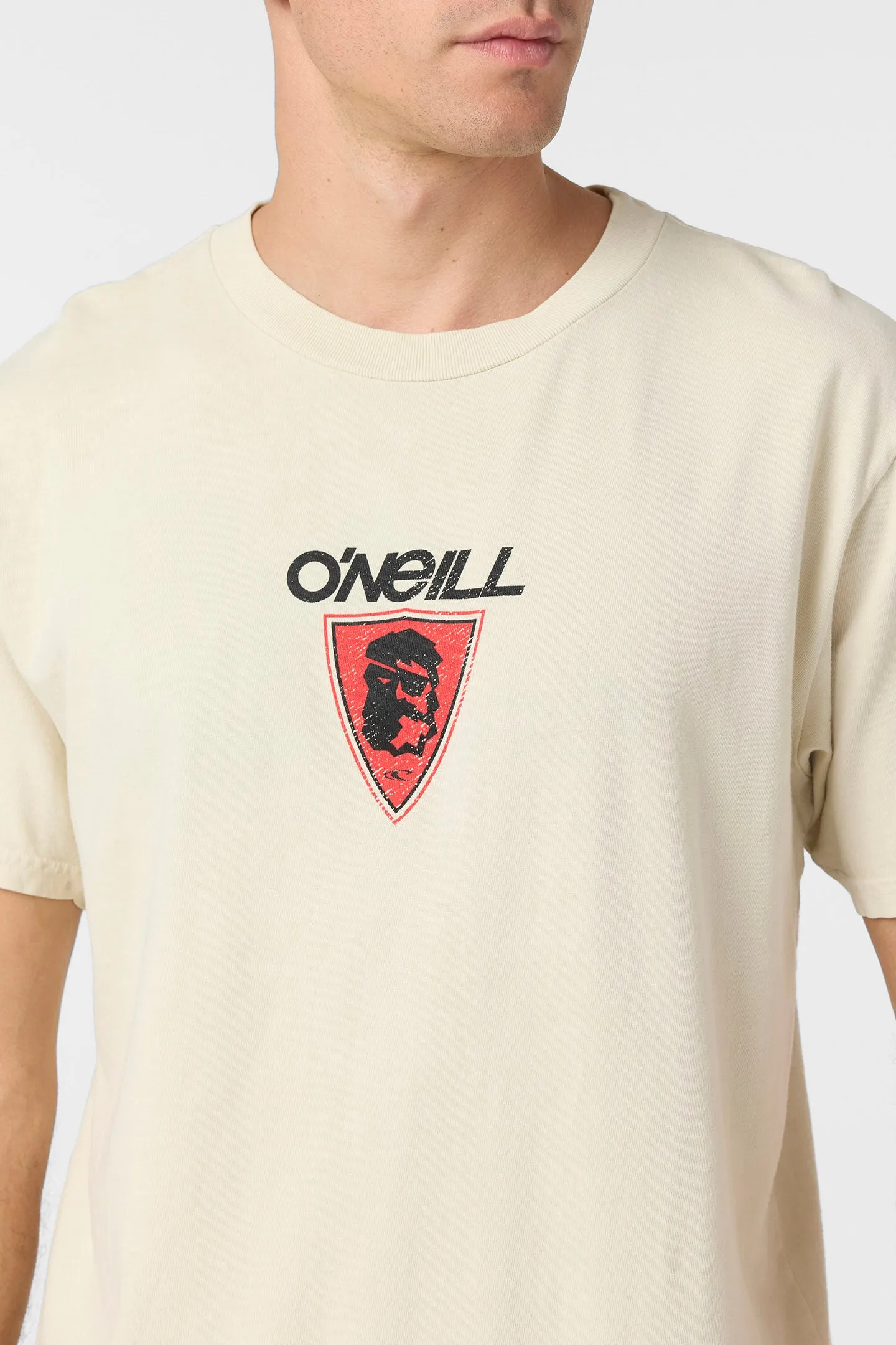 Askew Relaxed Fit Tee sold by O'Neill product image thumbnail 5