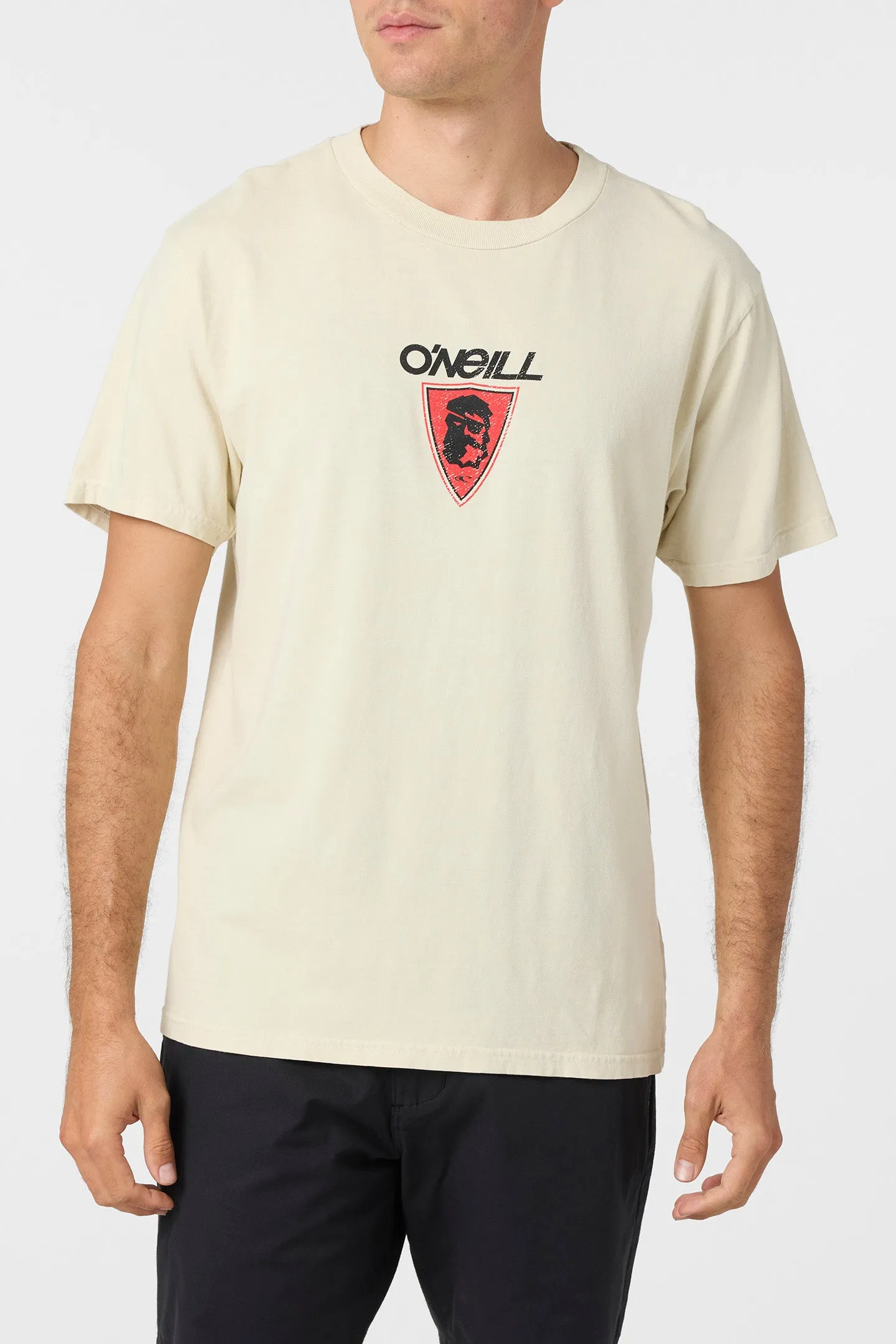 Askew Relaxed Fit Tee sold by O'Neill product image thumbnail 2