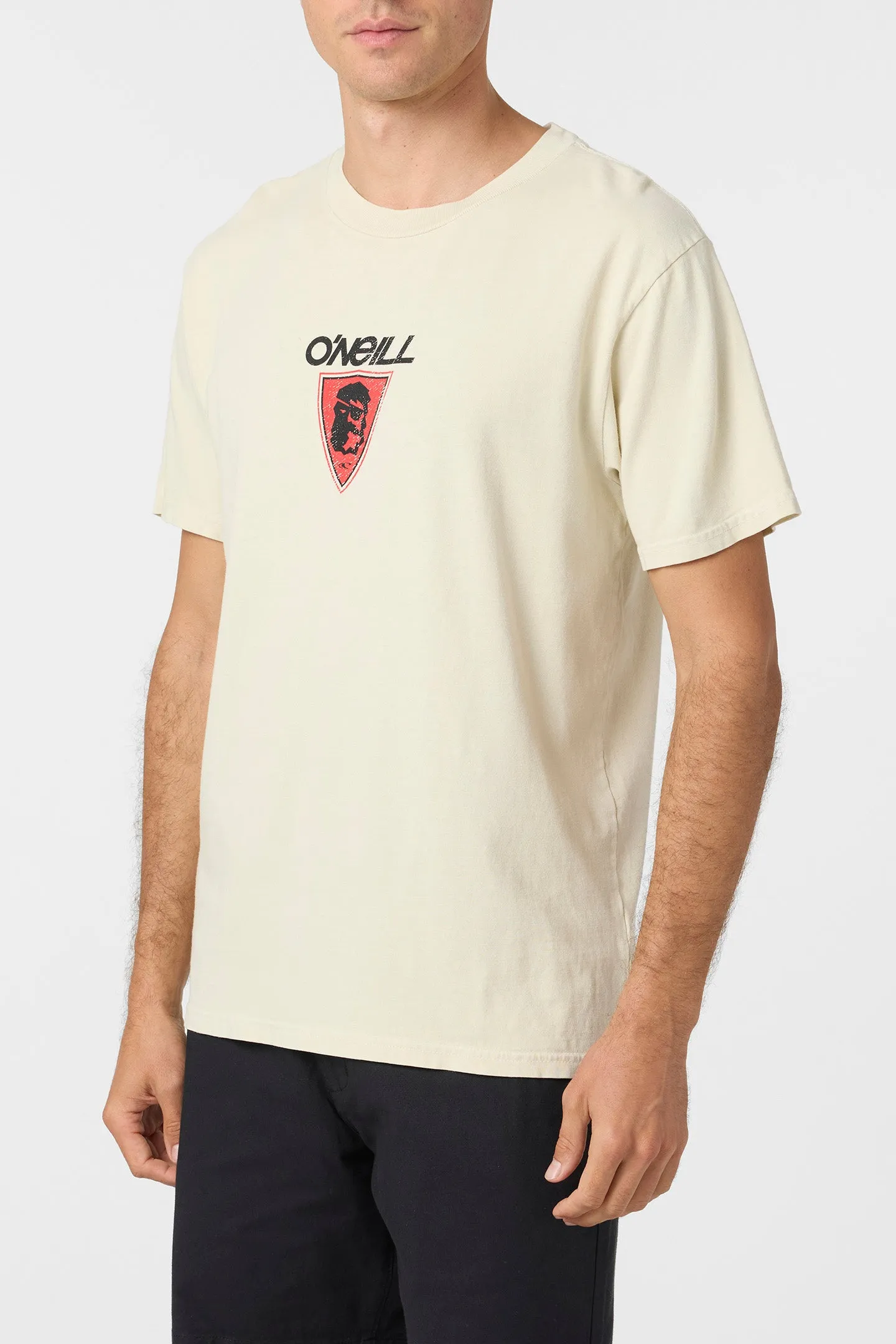 Askew Relaxed Fit Tee sold by O'Neill product image thumbnail 3