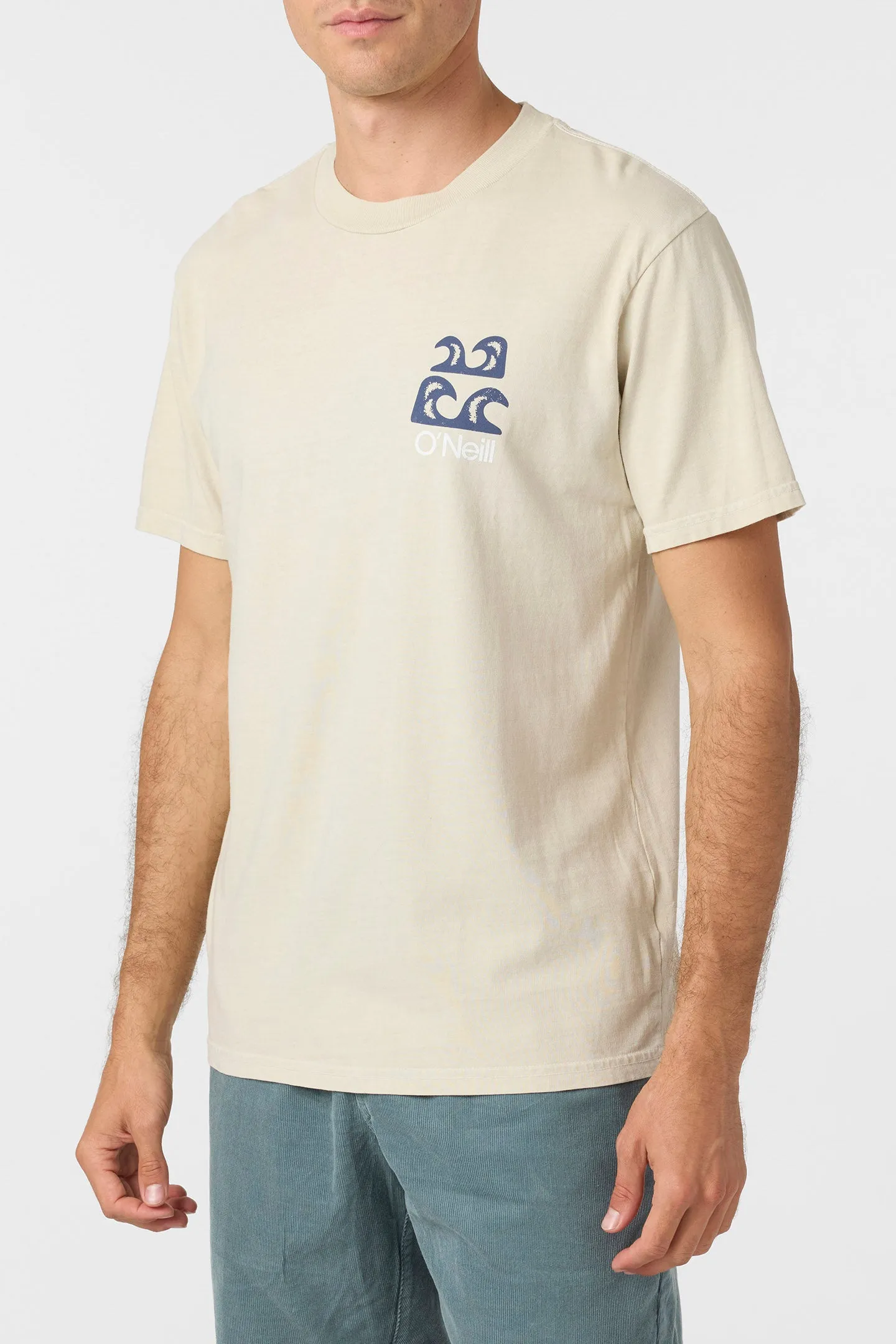 O'Riginals Scenic Relaxed Fit Tee sold by O'Neill product image thumbnail 3
