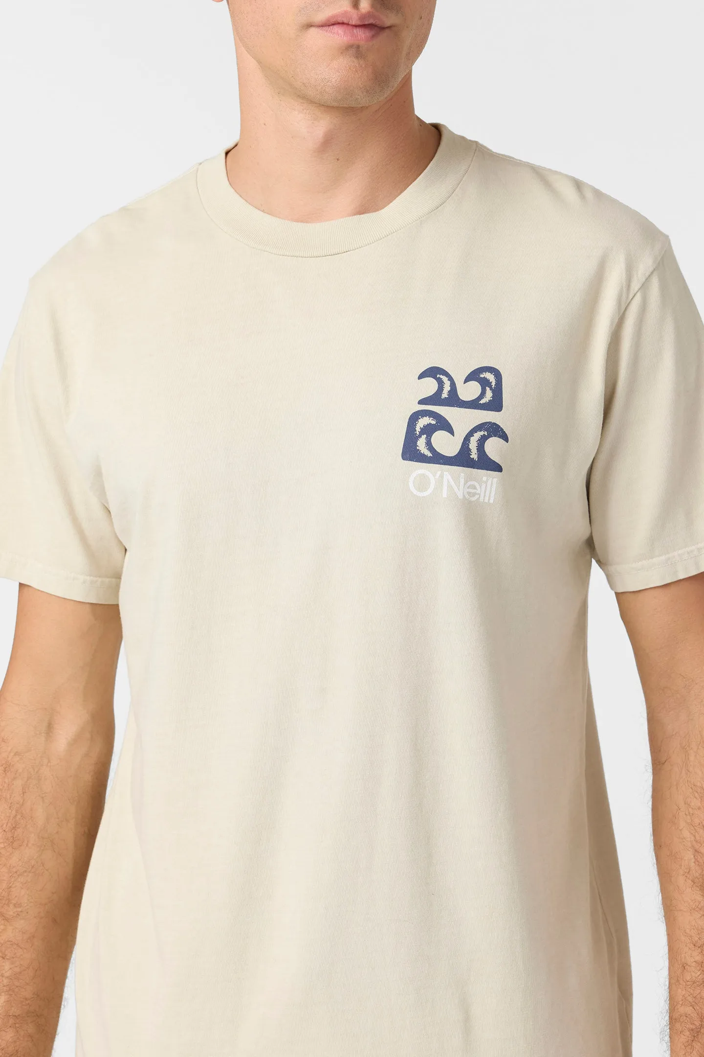 O'Riginals Scenic Relaxed Fit Tee sold by O'Neill product image thumbnail 4
