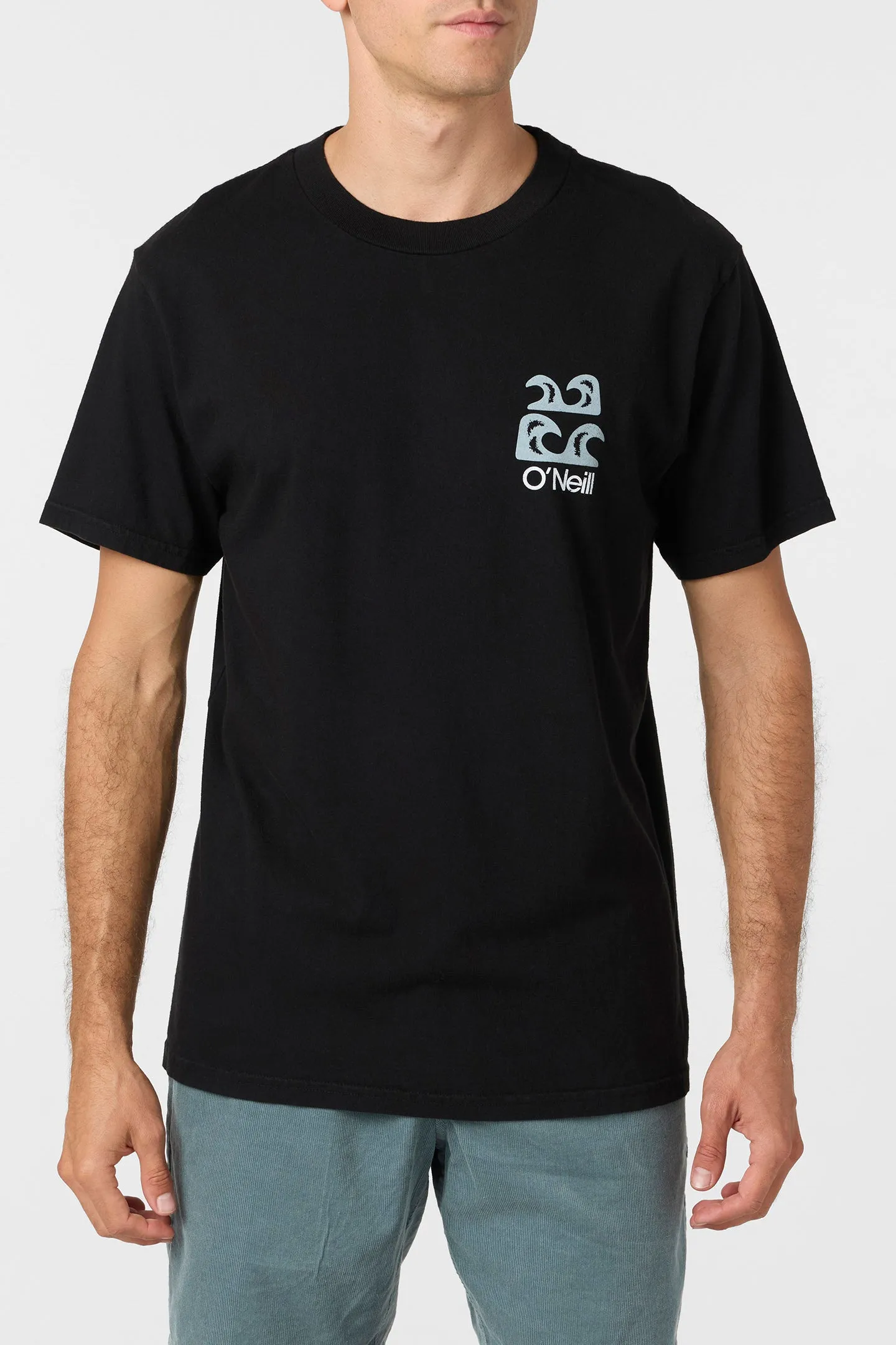 O'Riginals Scenic Relaxed Fit Tee sold by O'Neill product image thumbnail 2