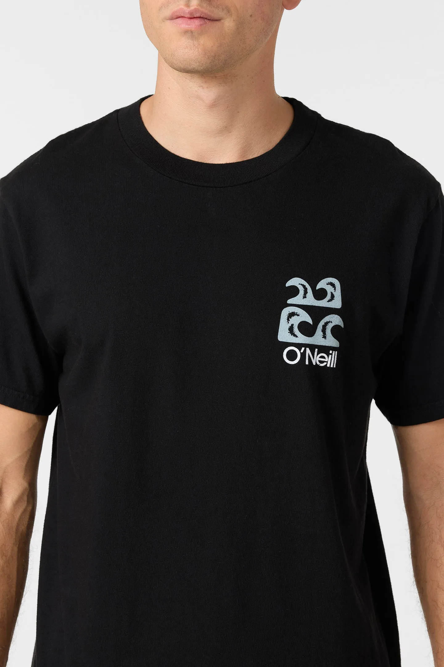 O'Riginals Scenic Relaxed Fit Tee sold by O'Neill product image thumbnail 5