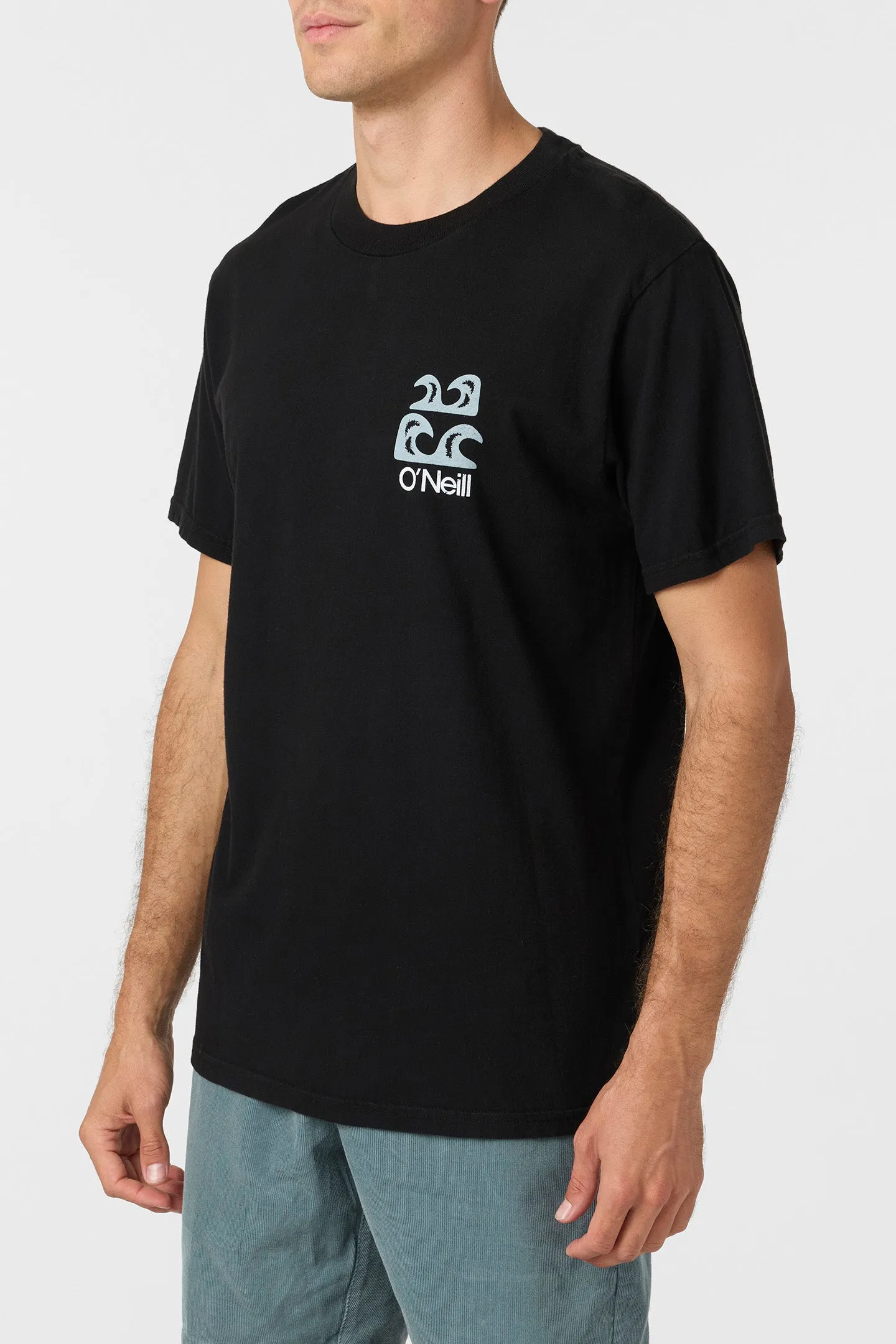 O'Riginals Scenic Relaxed Fit Tee sold by O'Neill product image thumbnail 3