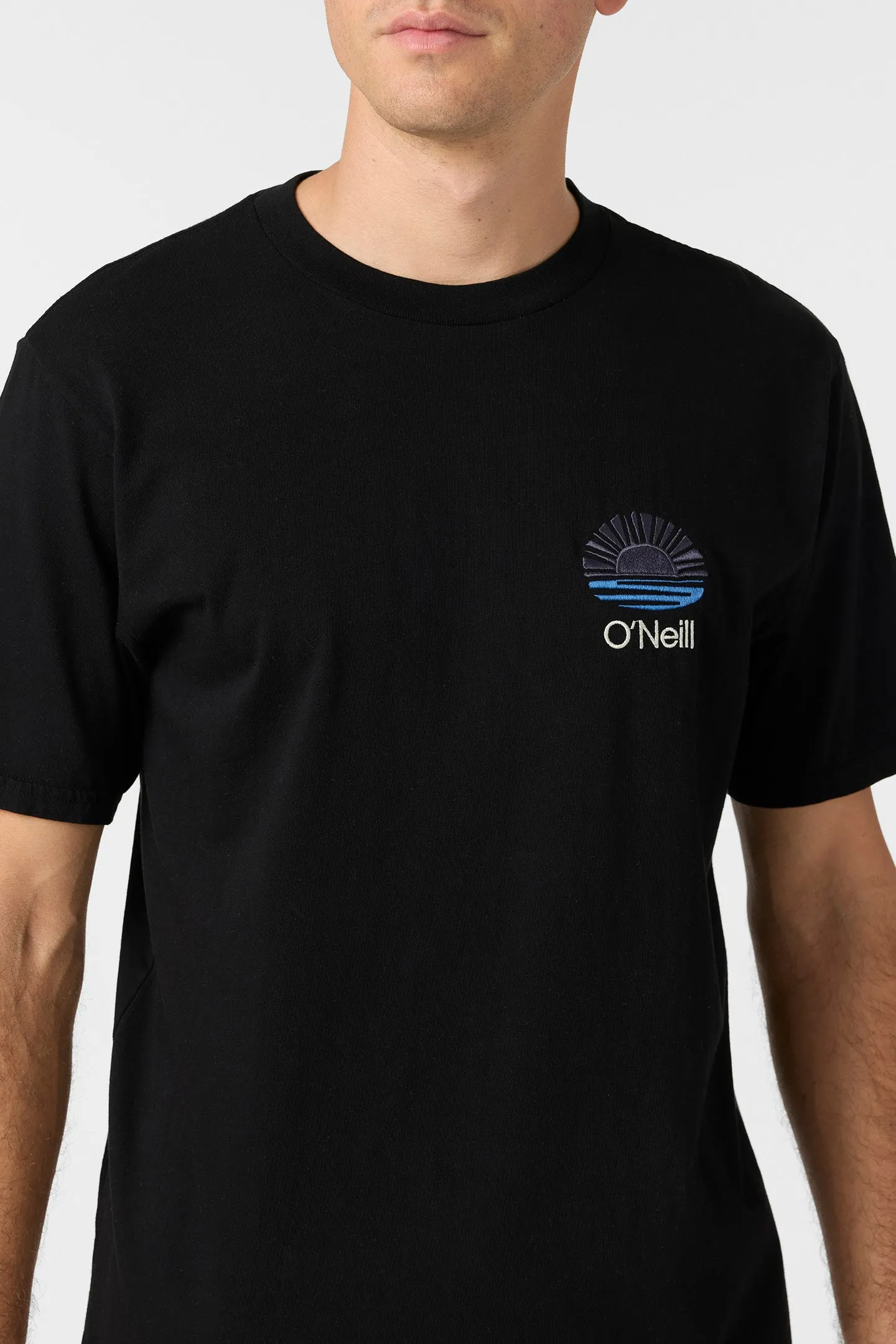 O'Riginals Elements Relaxed Fit Tee sold by O'Neill product image thumbnail 5