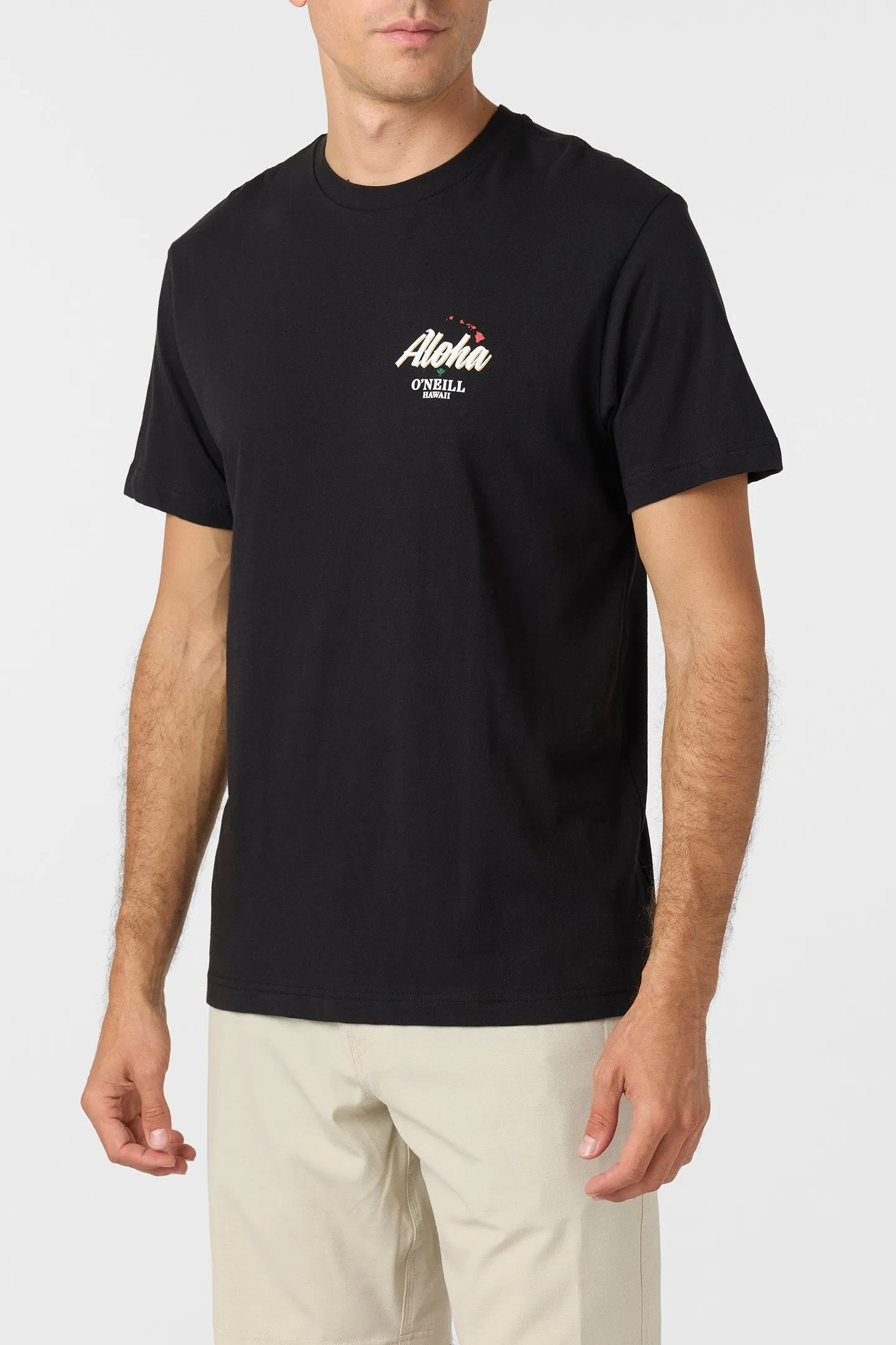 Dreamland Standard Fit Tee sold by O'Neill product image thumbnail 3