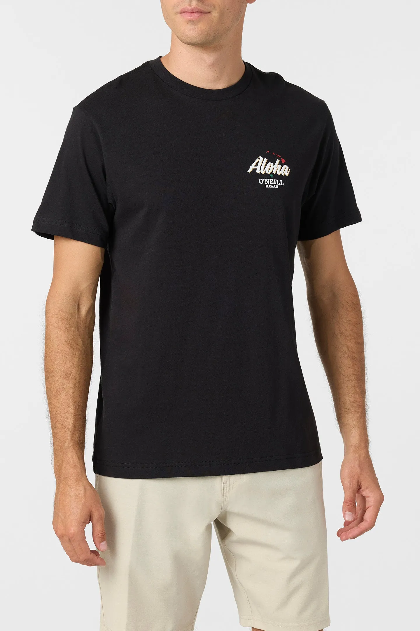 Dreamland Standard Fit Tee sold by O'Neill product image thumbnail 2