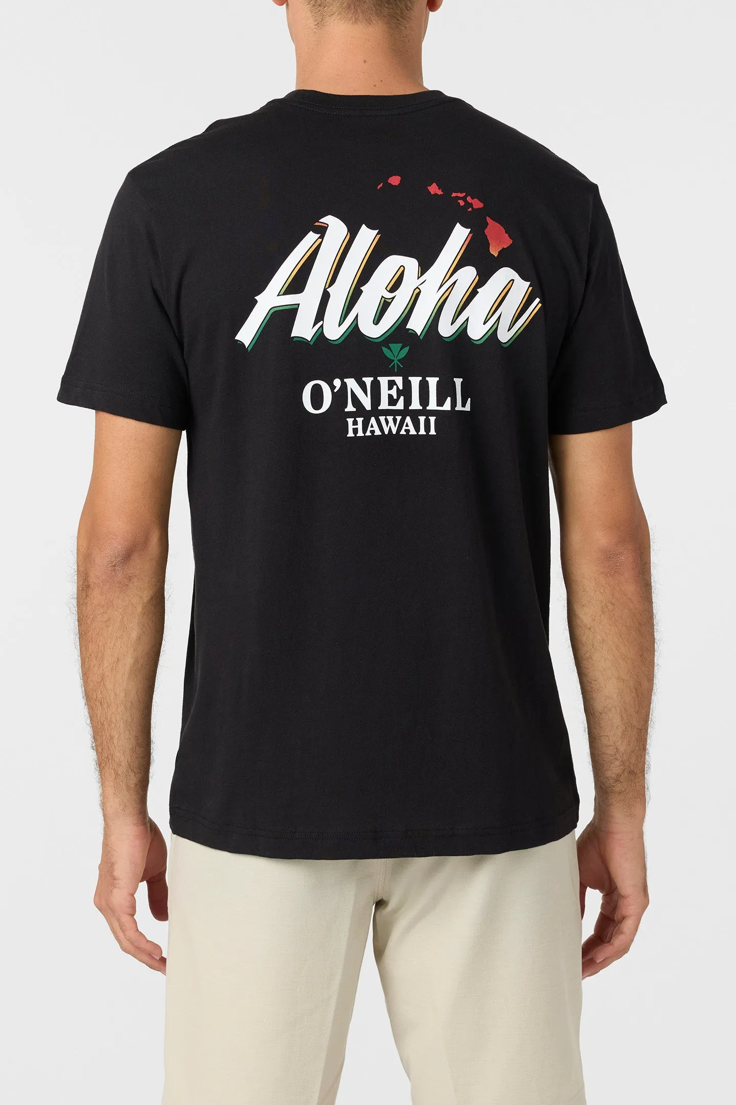 Dreamland Standard Fit Tee sold by O'Neill product image thumbnail 4