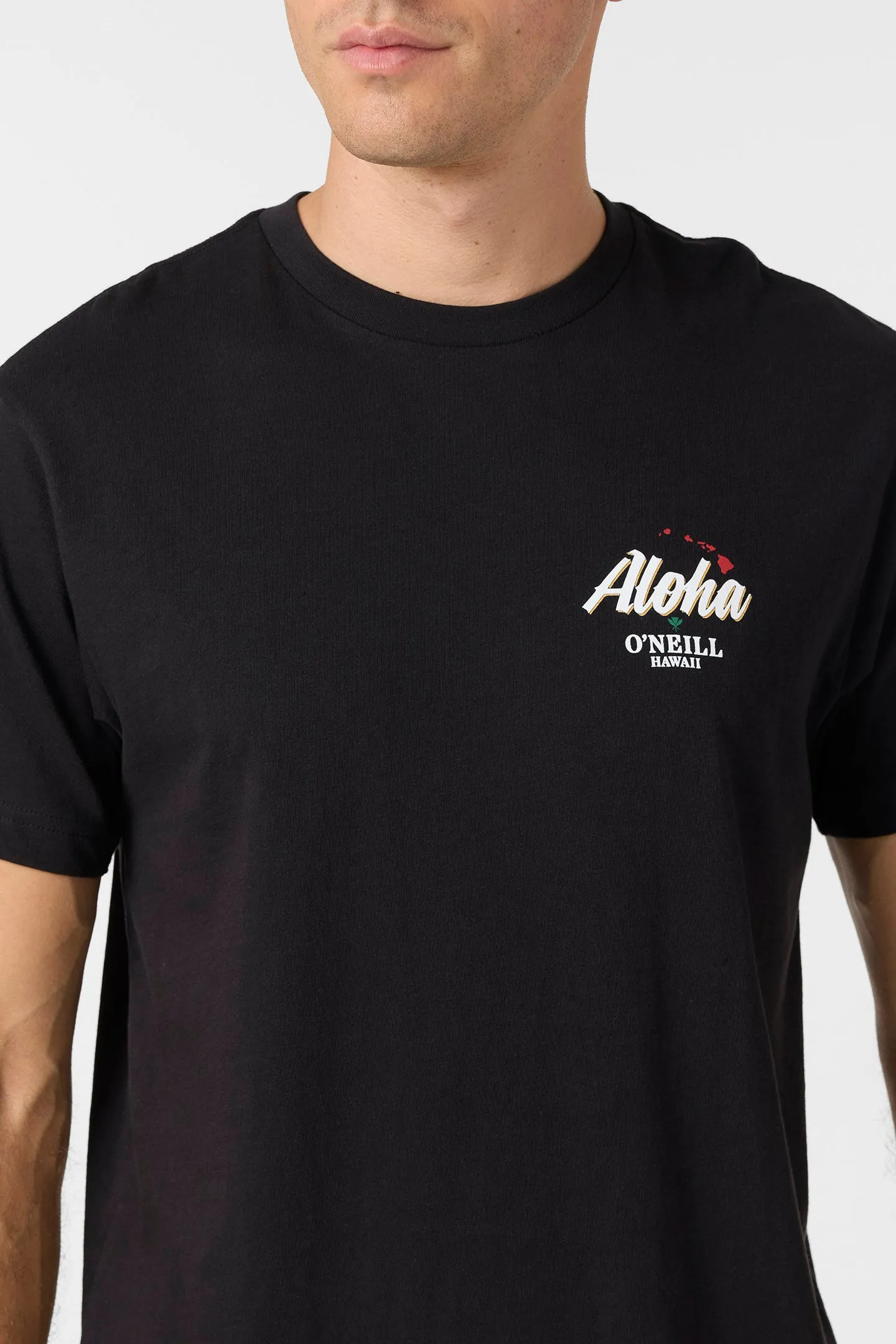 Dreamland Standard Fit Tee sold by O'Neill product image thumbnail 5