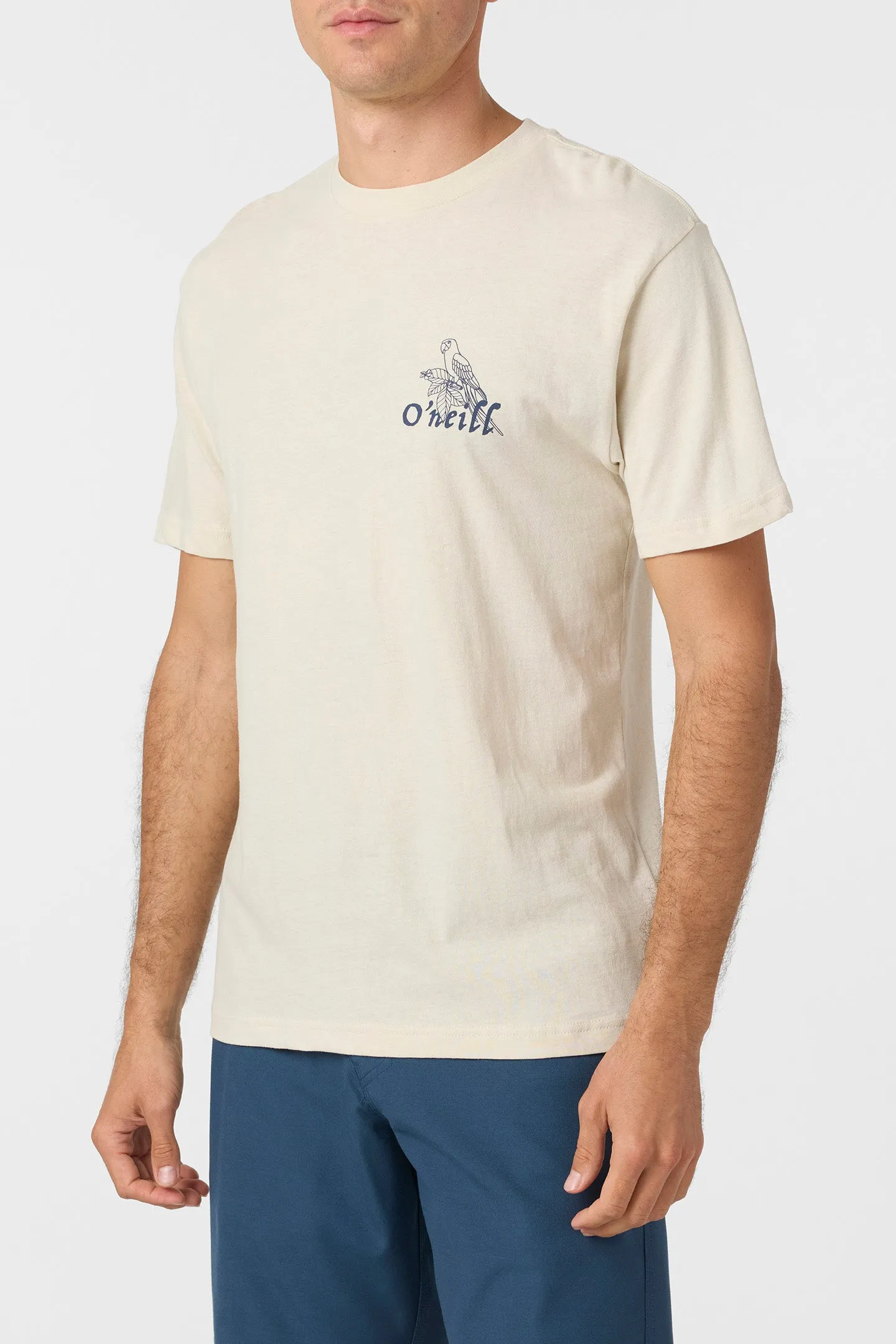 Billie Standard Fit Tee sold by O'Neill product image thumbnail 3