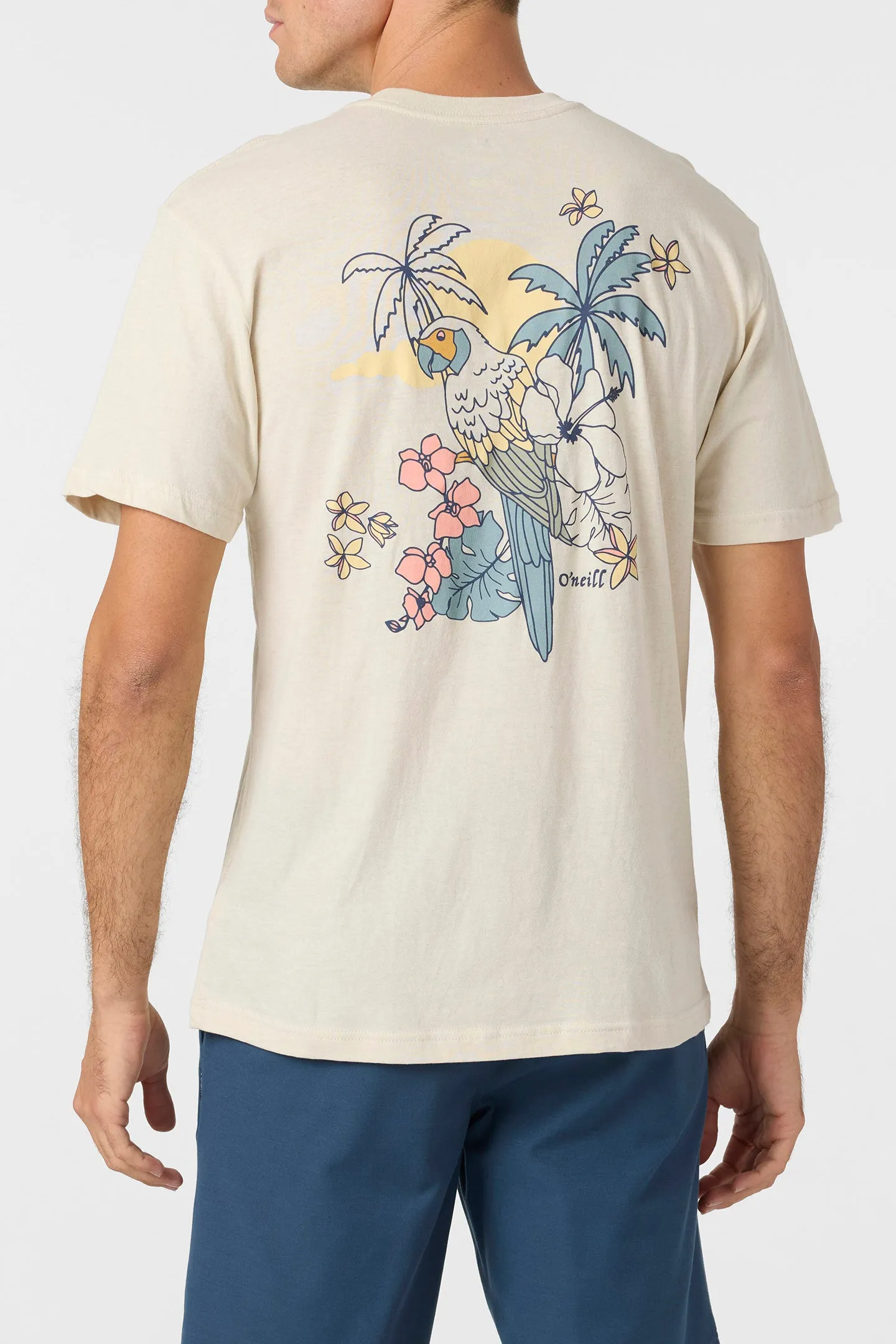Billie Standard Fit Tee sold by O'Neill product image thumbnail 5