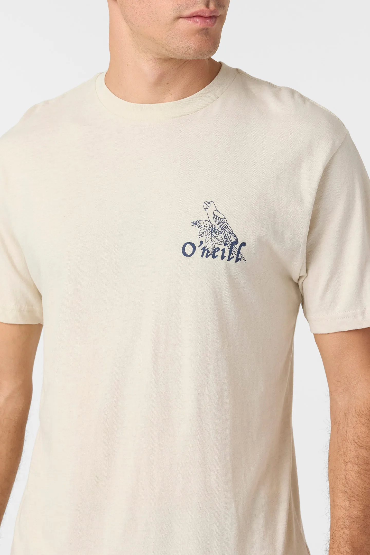 Billie Standard Fit Tee sold by O'Neill product image thumbnail 4