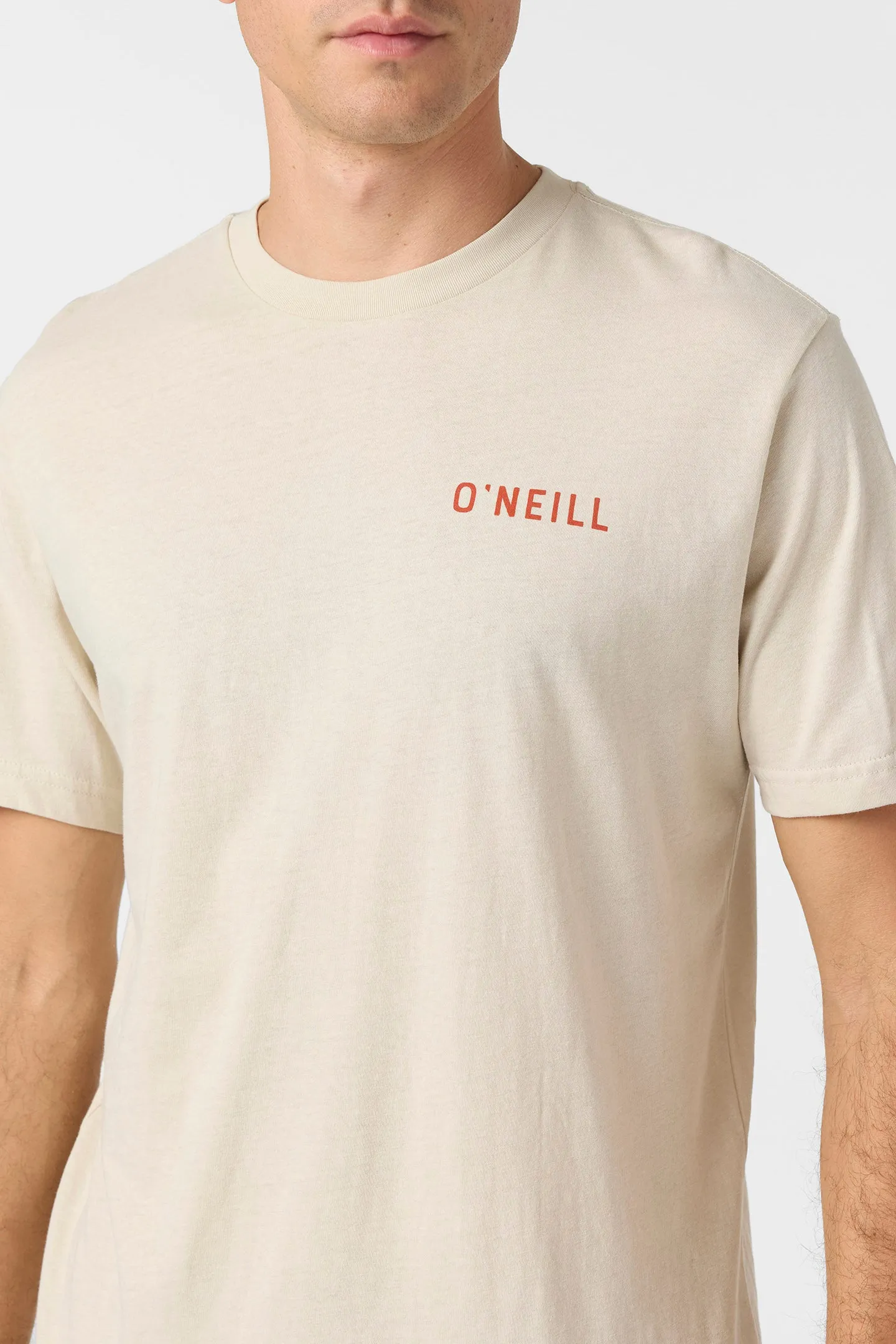 The Breaks Standard Fit Tee sold by O'Neill product image thumbnail 4