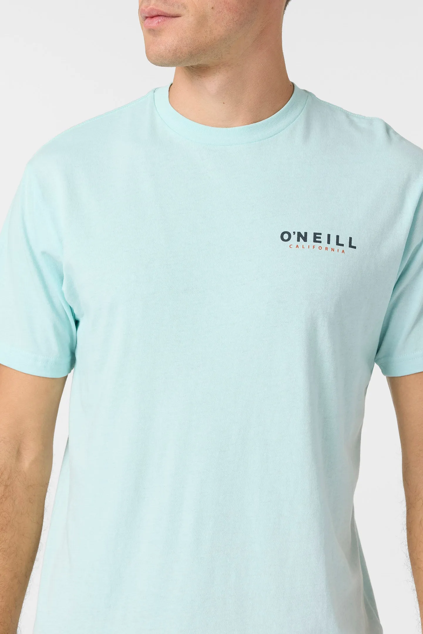 TED STANDARD FIT TEE sold by O'Neill product image thumbnail 4