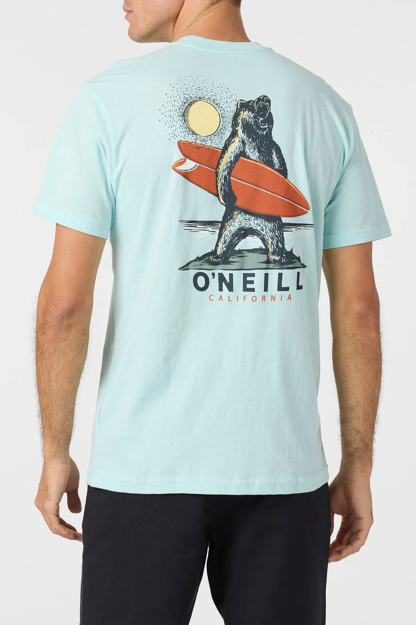 TED STANDARD FIT TEE sold by O'Neill product image thumbnail 5