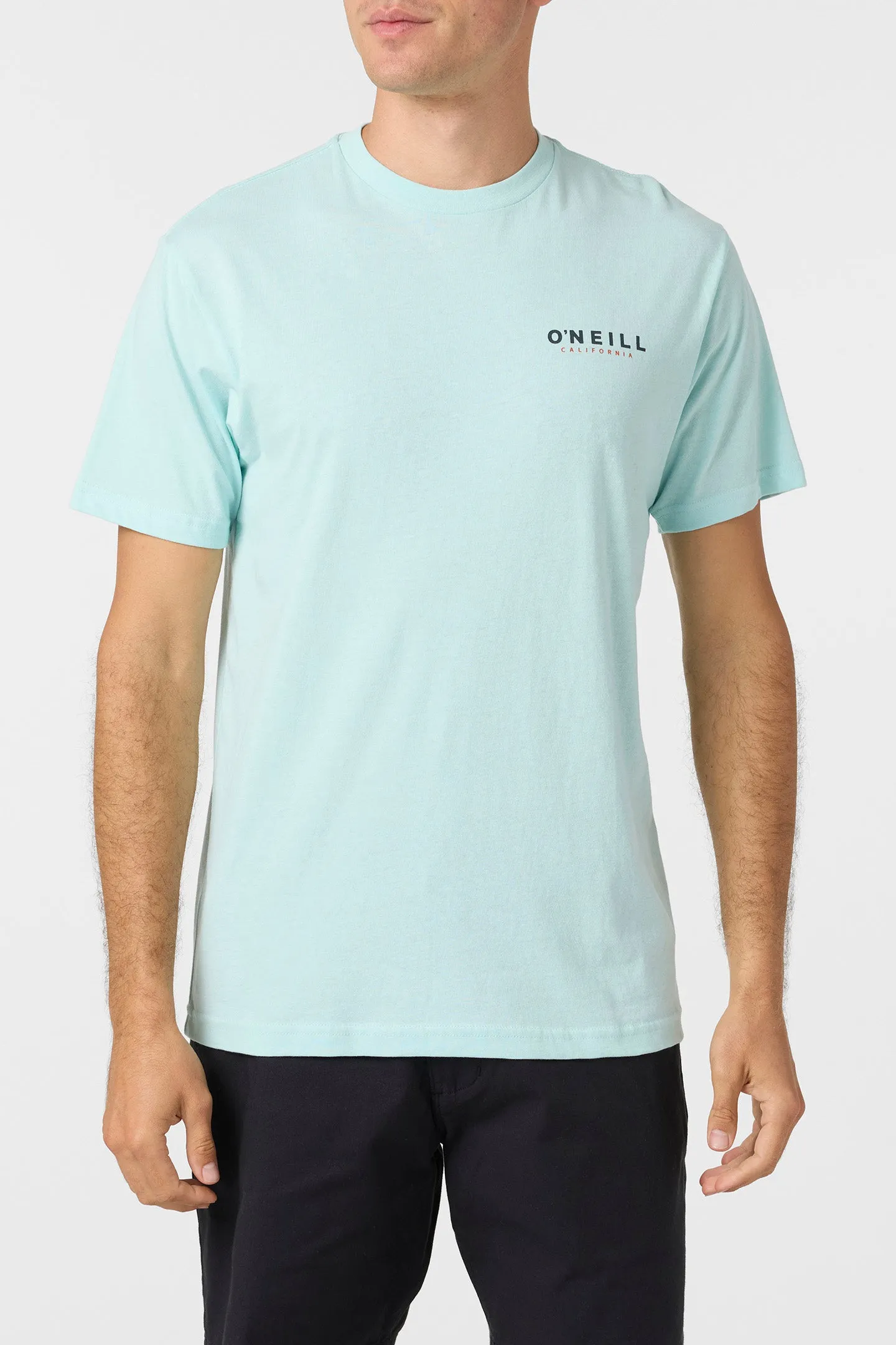 TED STANDARD FIT TEE sold by O'Neill product image thumbnail 2