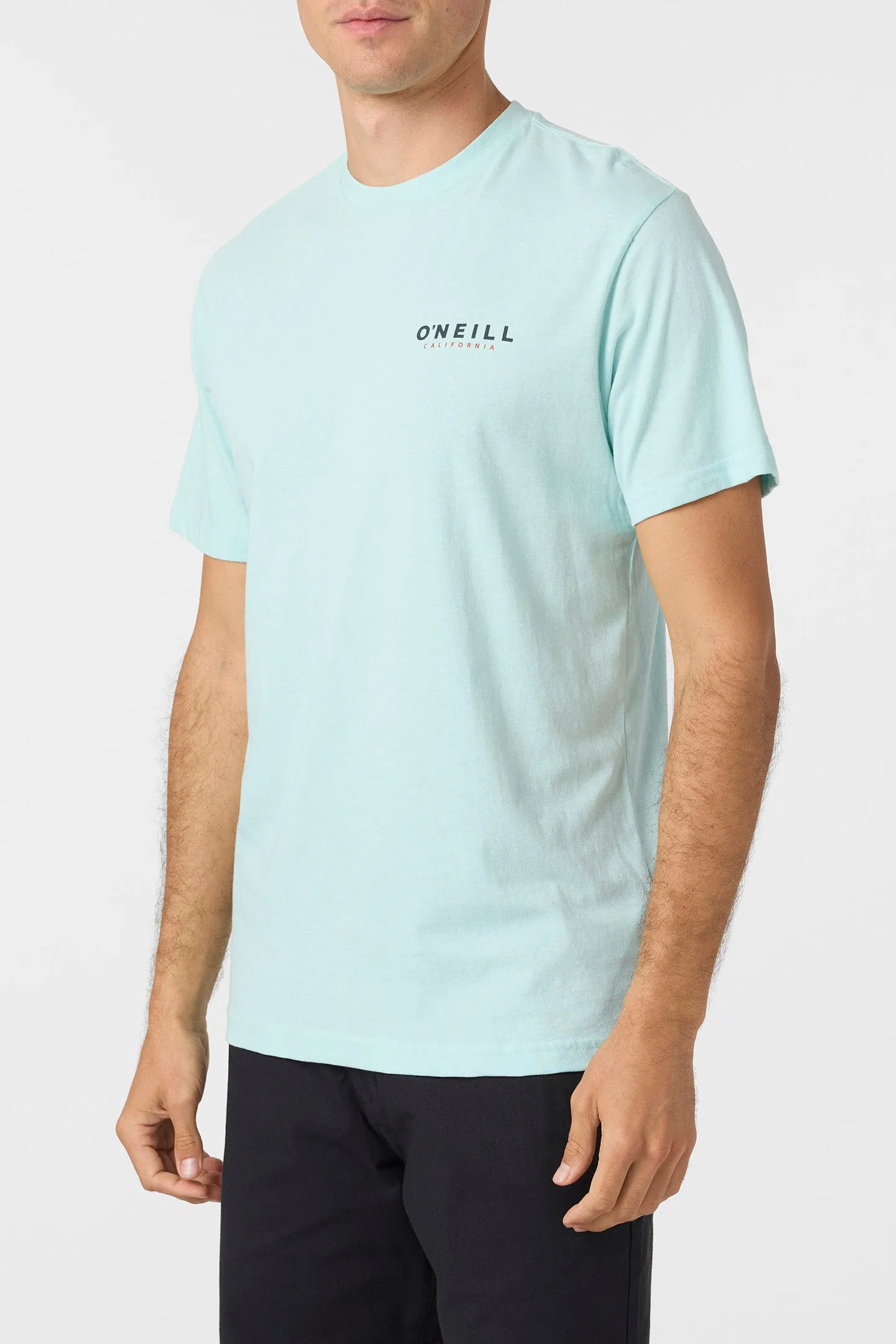 TED STANDARD FIT TEE sold by O'Neill product image thumbnail 3
