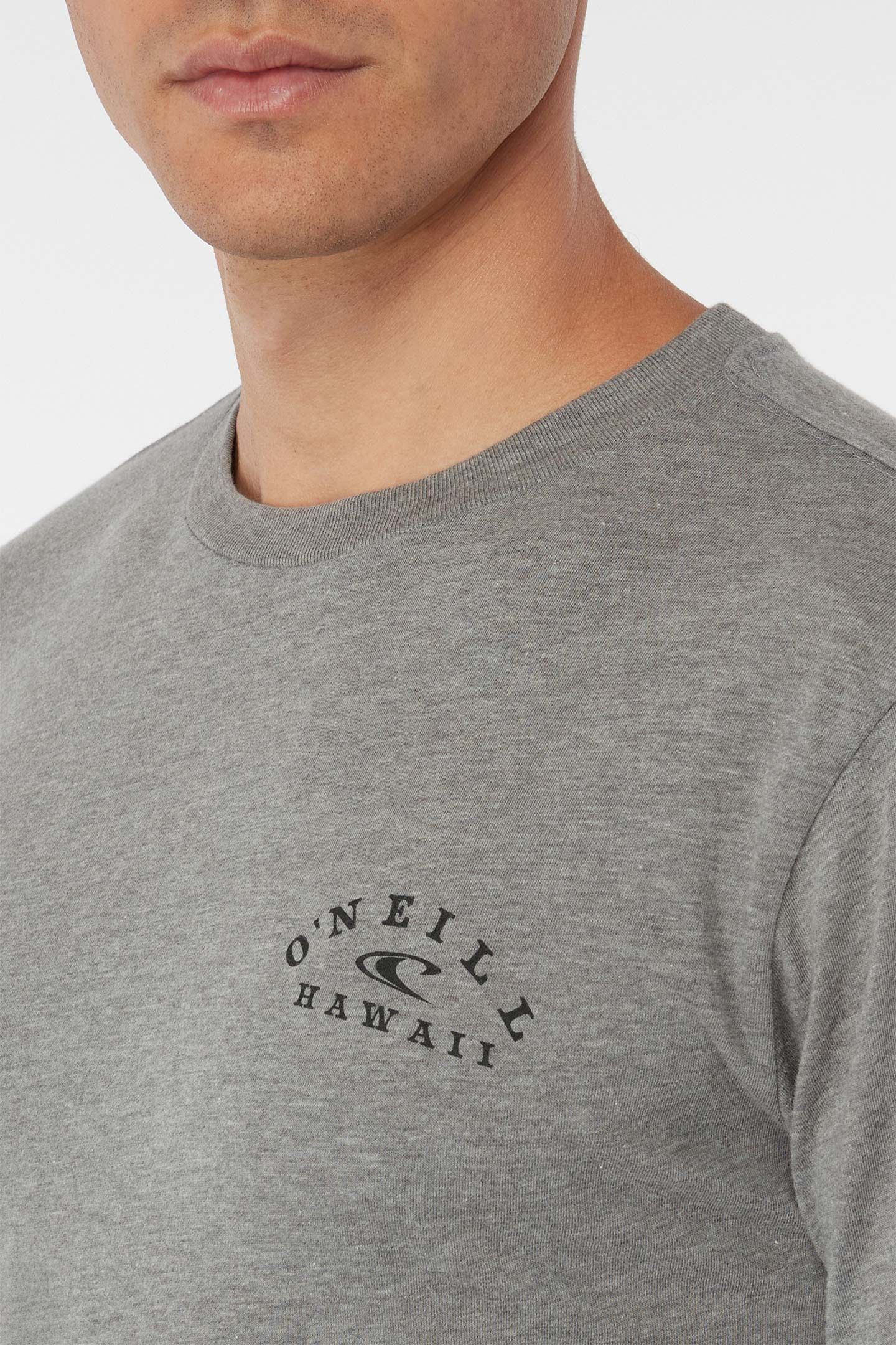PLATE LUNCH LONG SLEEVE TEE sold by O'Neill product image thumbnail 4