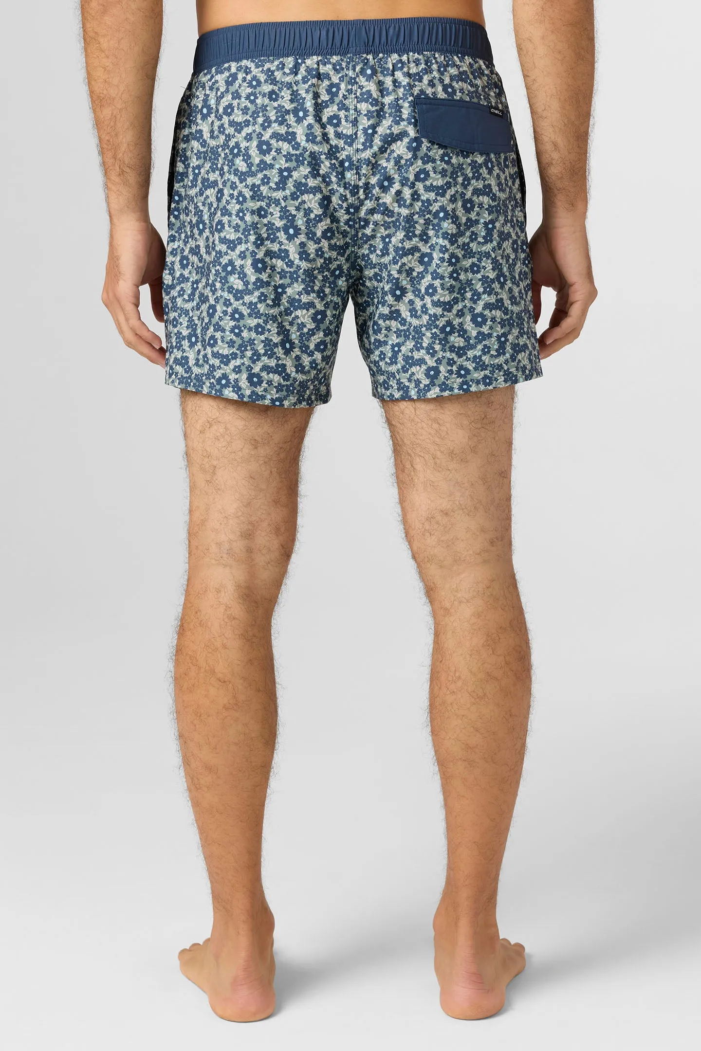 Hermosa Light Lined Volley 15" Swim Trunks sold by O'Neill product image thumbnail 4