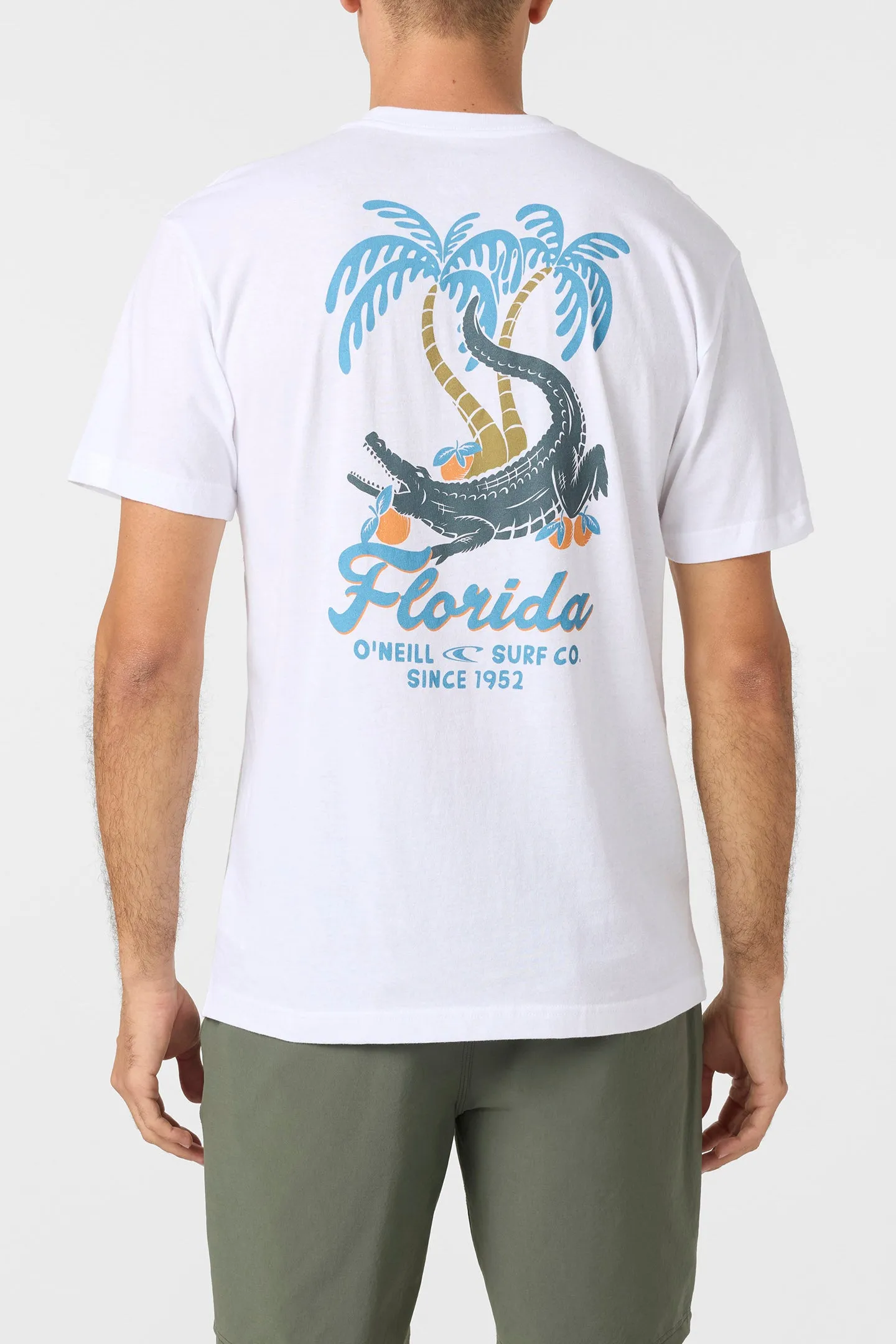 Greenie Standard Fit Tee sold by O'Neill product image thumbnail 5