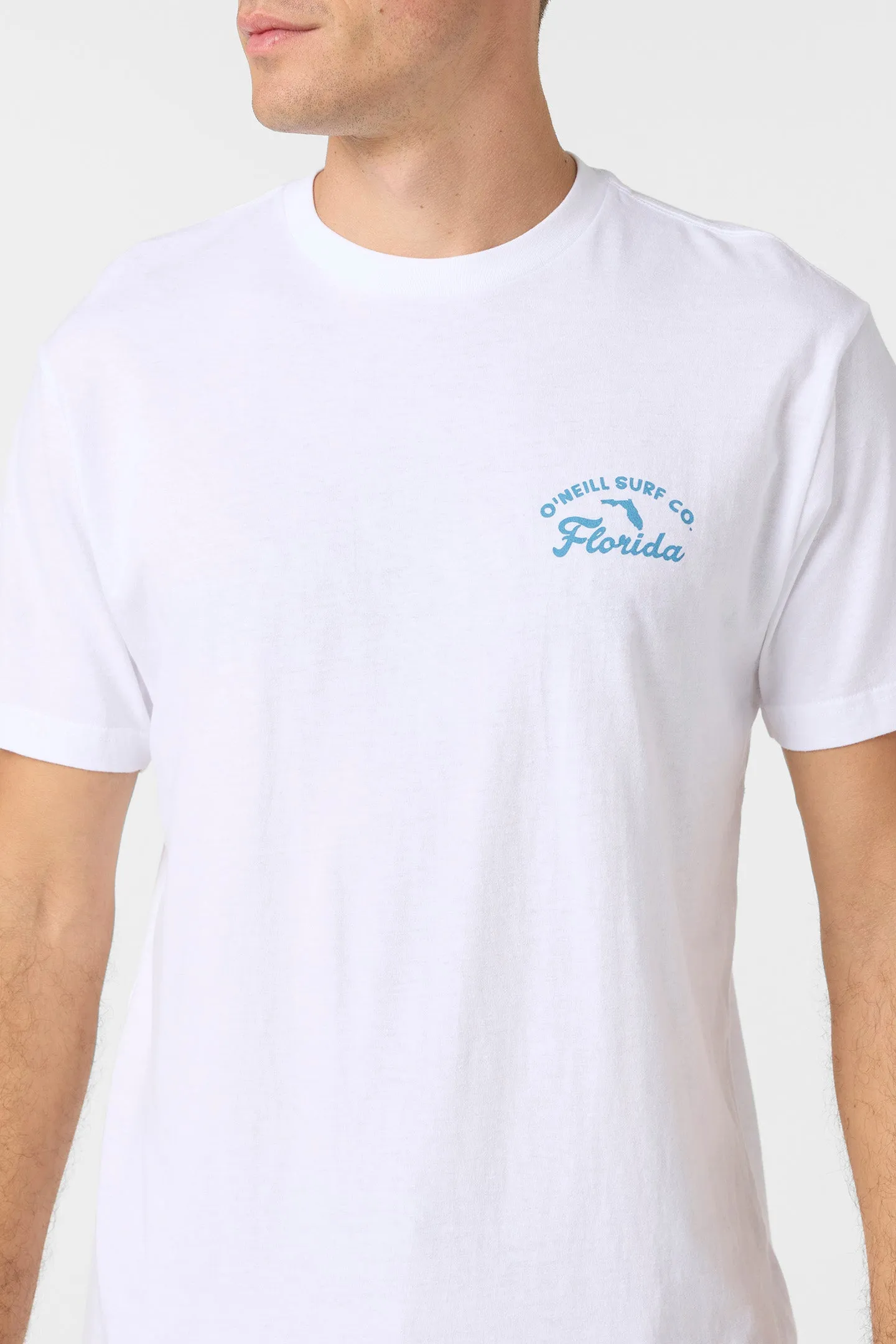 Greenie Standard Fit Tee sold by O'Neill product image thumbnail 4