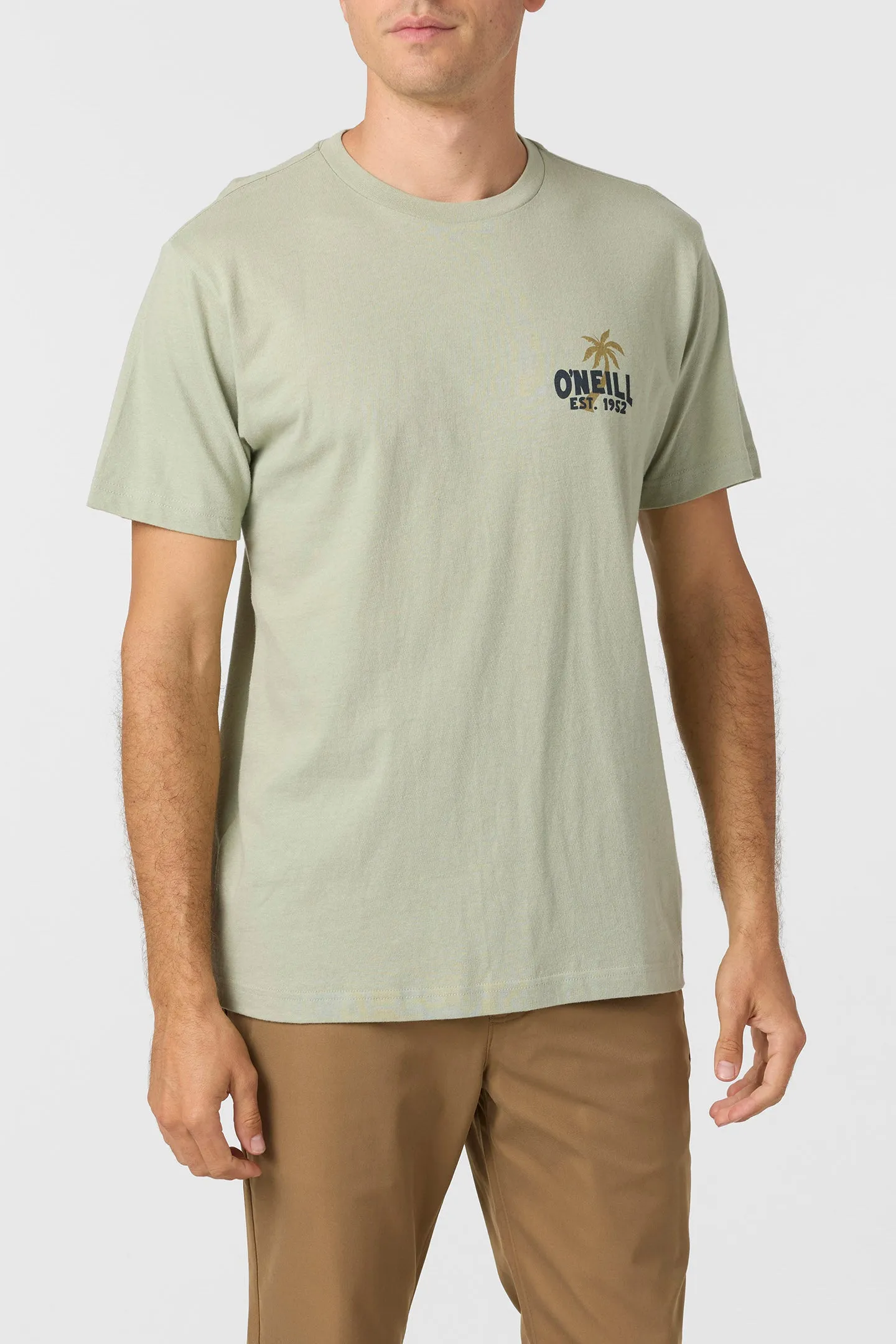 Axelrad Standard Fit Tee sold by O'Neill product image thumbnail 2