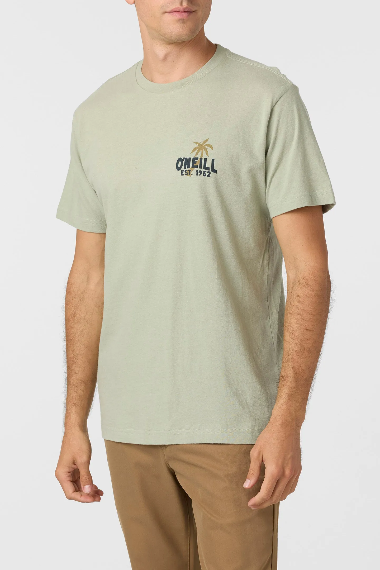 Axelrad Standard Fit Tee sold by O'Neill product image thumbnail 3