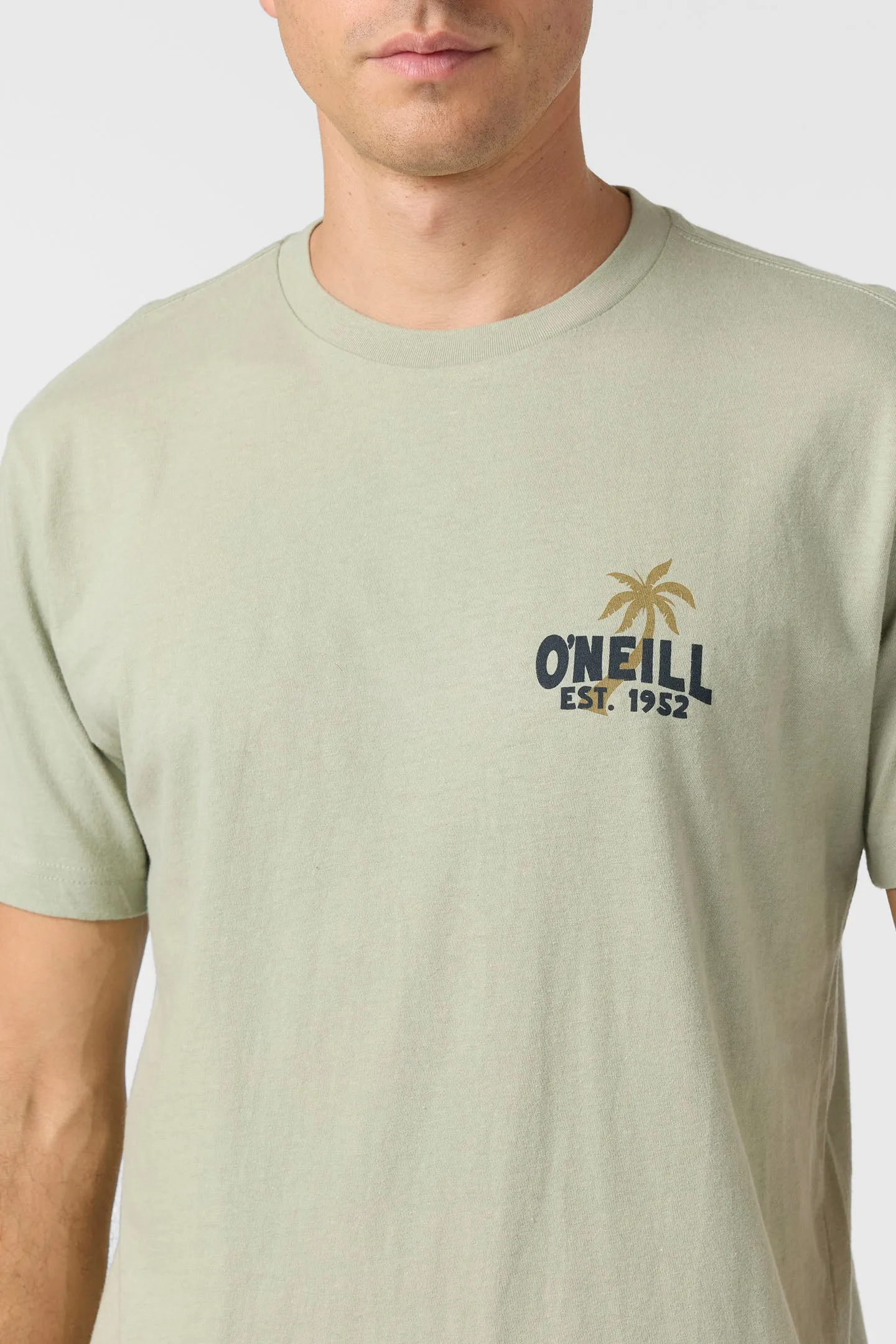 Axelrad Standard Fit Tee sold by O'Neill product image thumbnail 4