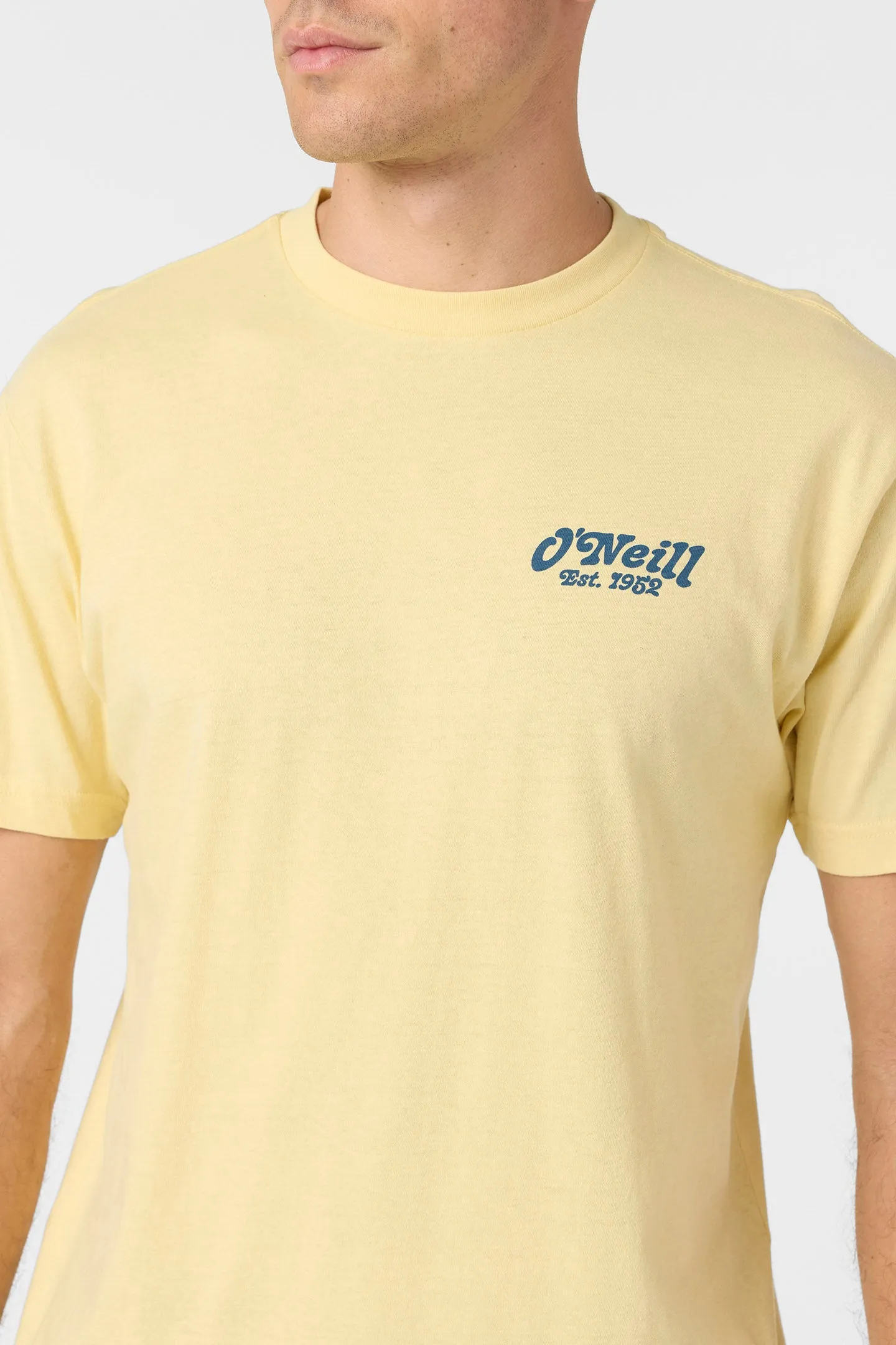 Mahalos Standard Fit Tee sold by O'Neill product image thumbnail 5