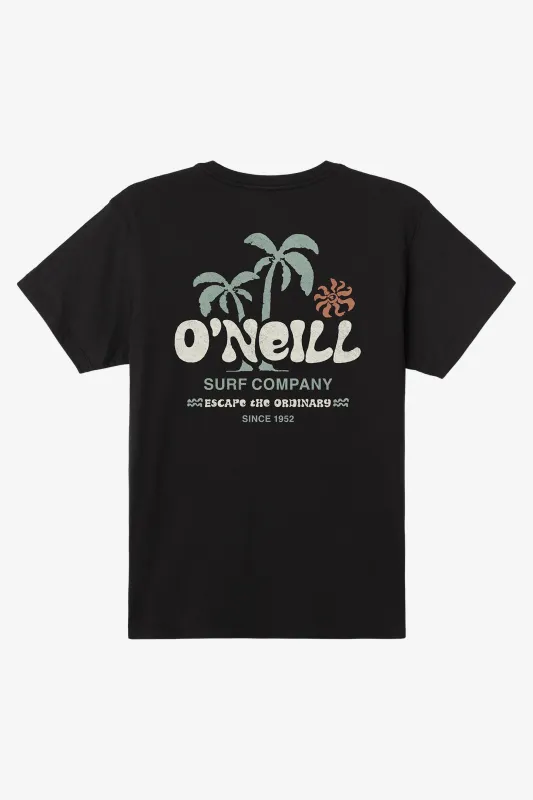 Loose Standard Fit Tee sold by O'Neill