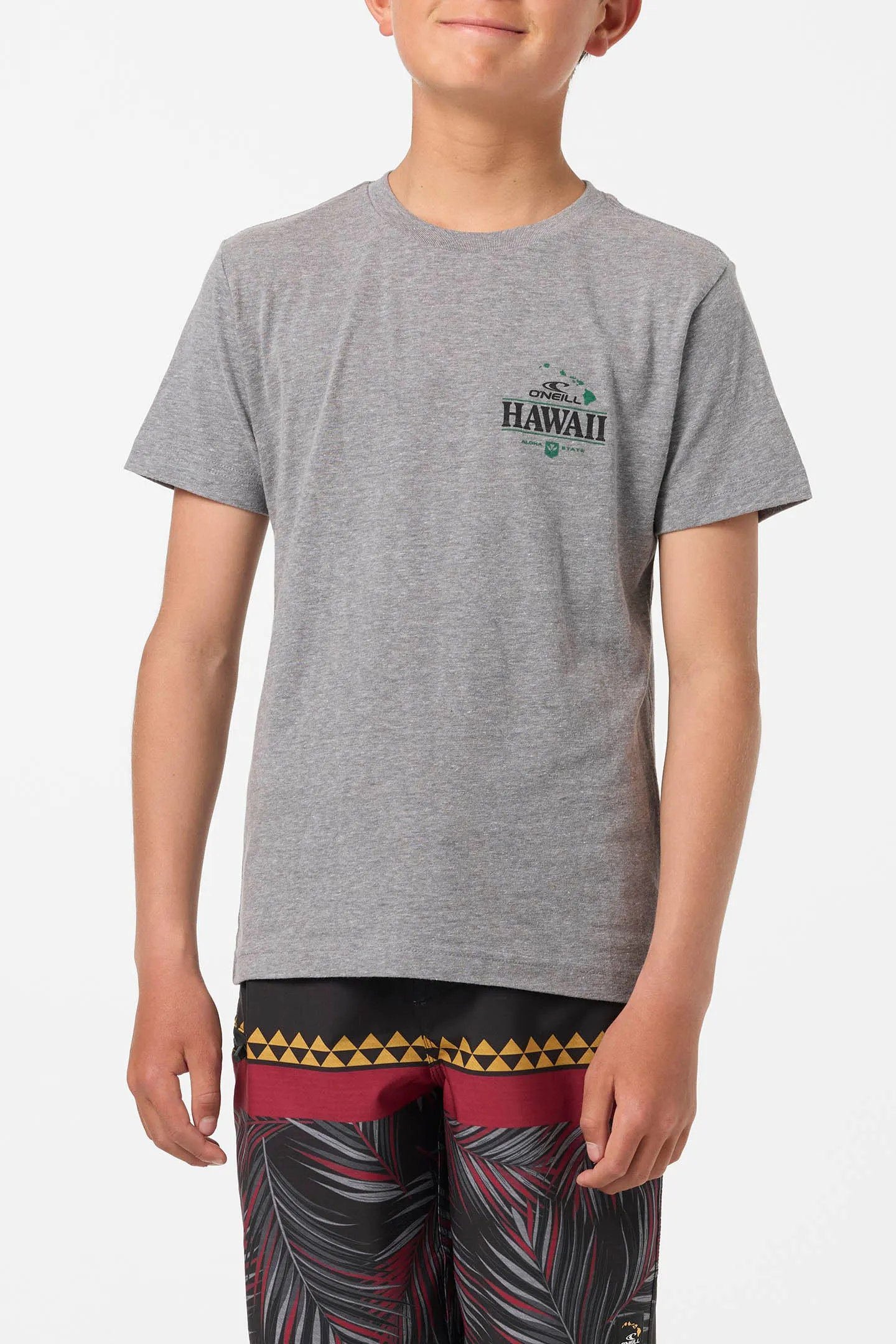 BOY'S HORIZON LINES TEE sold by O'Neill product image thumbnail 3
