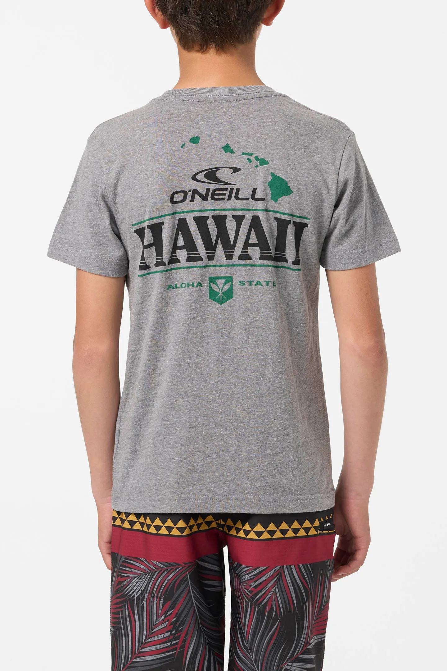 BOY'S HORIZON LINES TEE sold by O'Neill product image thumbnail 4