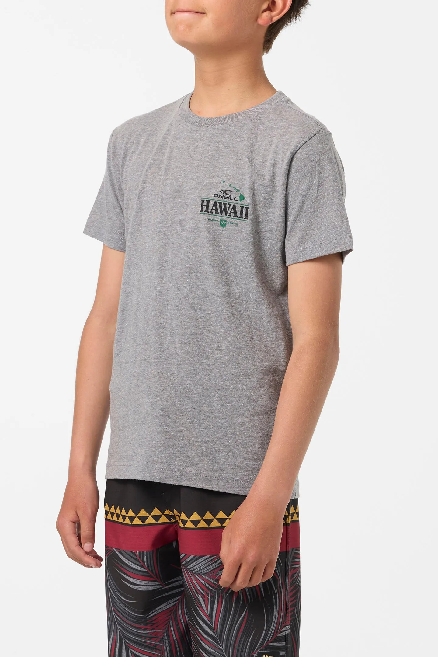 BOY'S HORIZON LINES TEE sold by O'Neill product image thumbnail 2