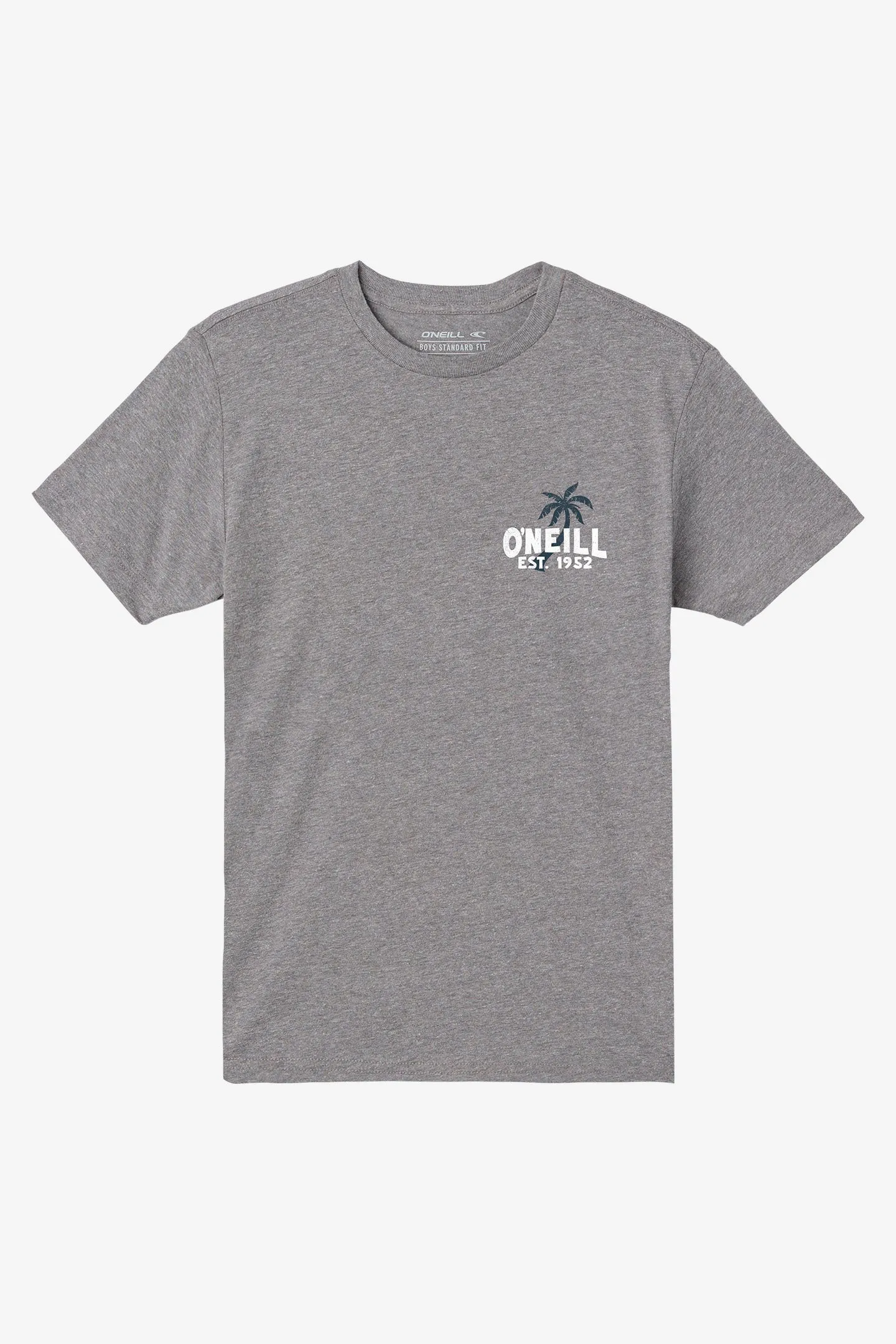 BOY'S AXELRAD TEE sold by O'Neill product image thumbnail 4