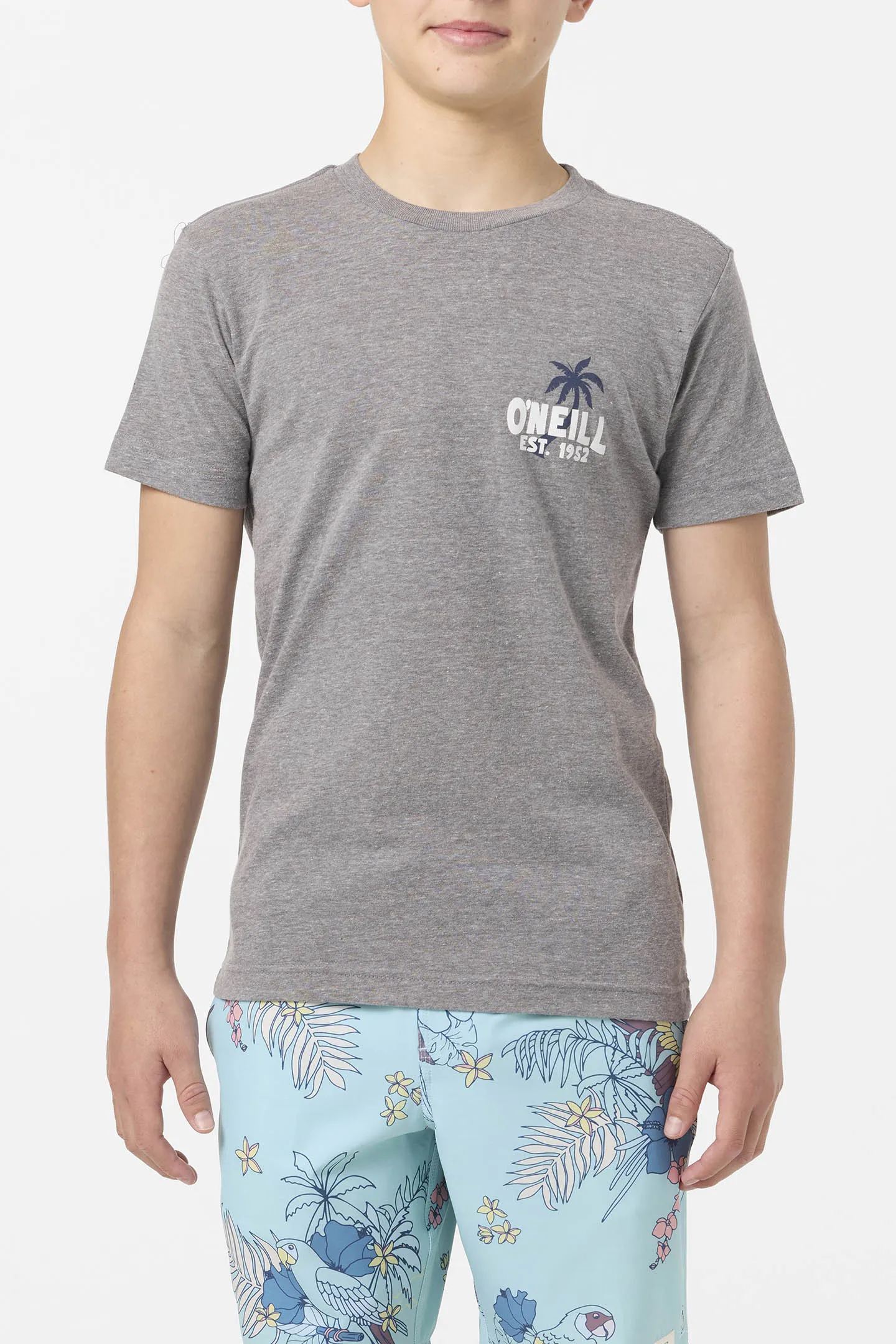 BOY'S AXELRAD TEE sold by O'Neill product image thumbnail 2