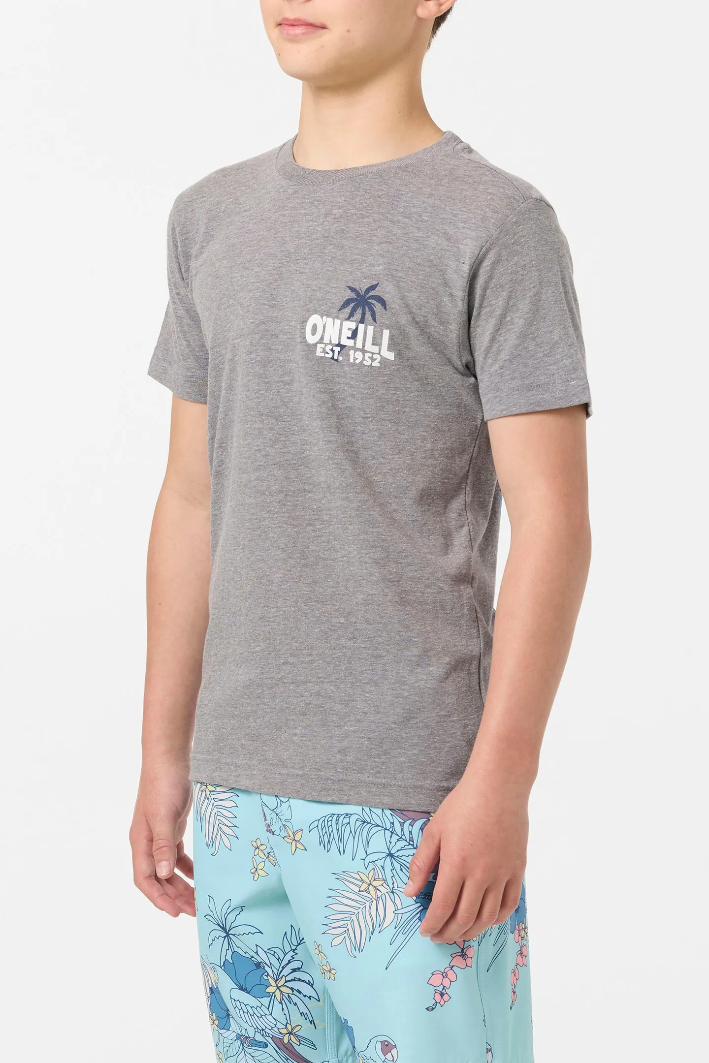 BOY'S AXELRAD TEE sold by O'Neill product image thumbnail 3