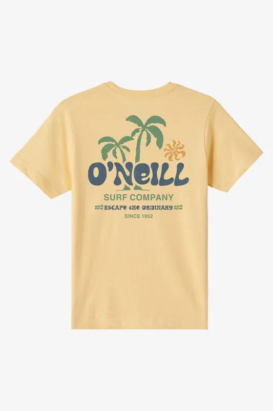 BOY'S LOOSE TEE sold by O'Neill