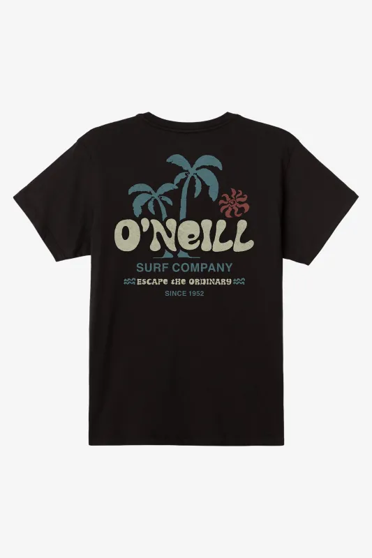 BOY'S LOOSE TEE sold by O'Neill