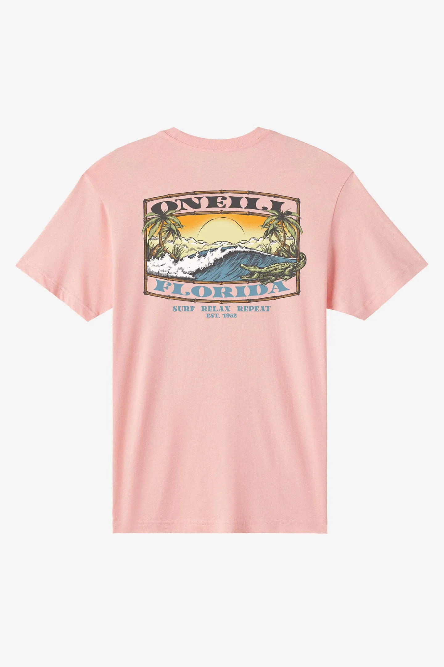 Coastal Standard Fit Tee sold by O'Neill